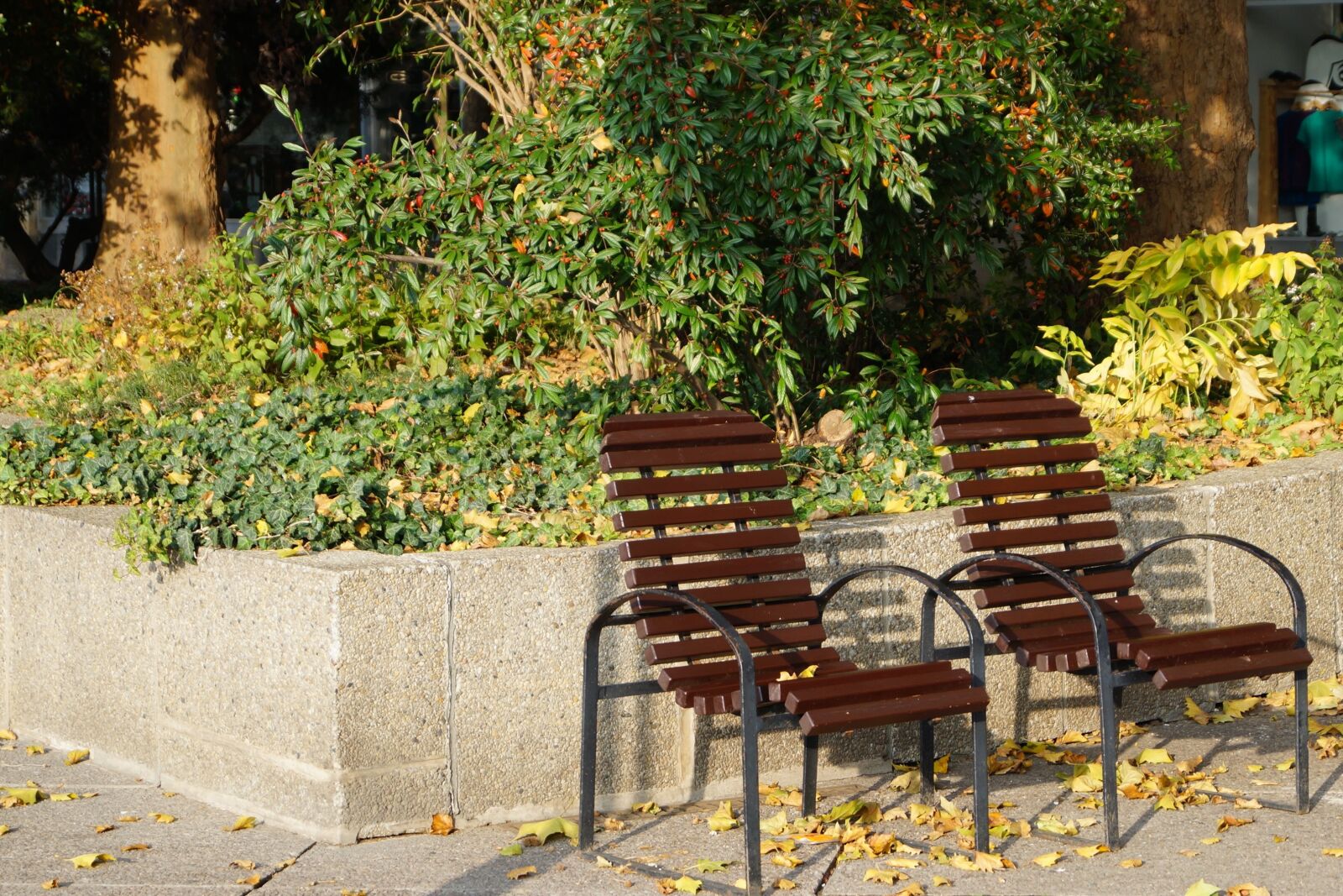 Sony DT 18-55mm F3.5-5.6 SAM II sample photo. Autumn, break, chair photography