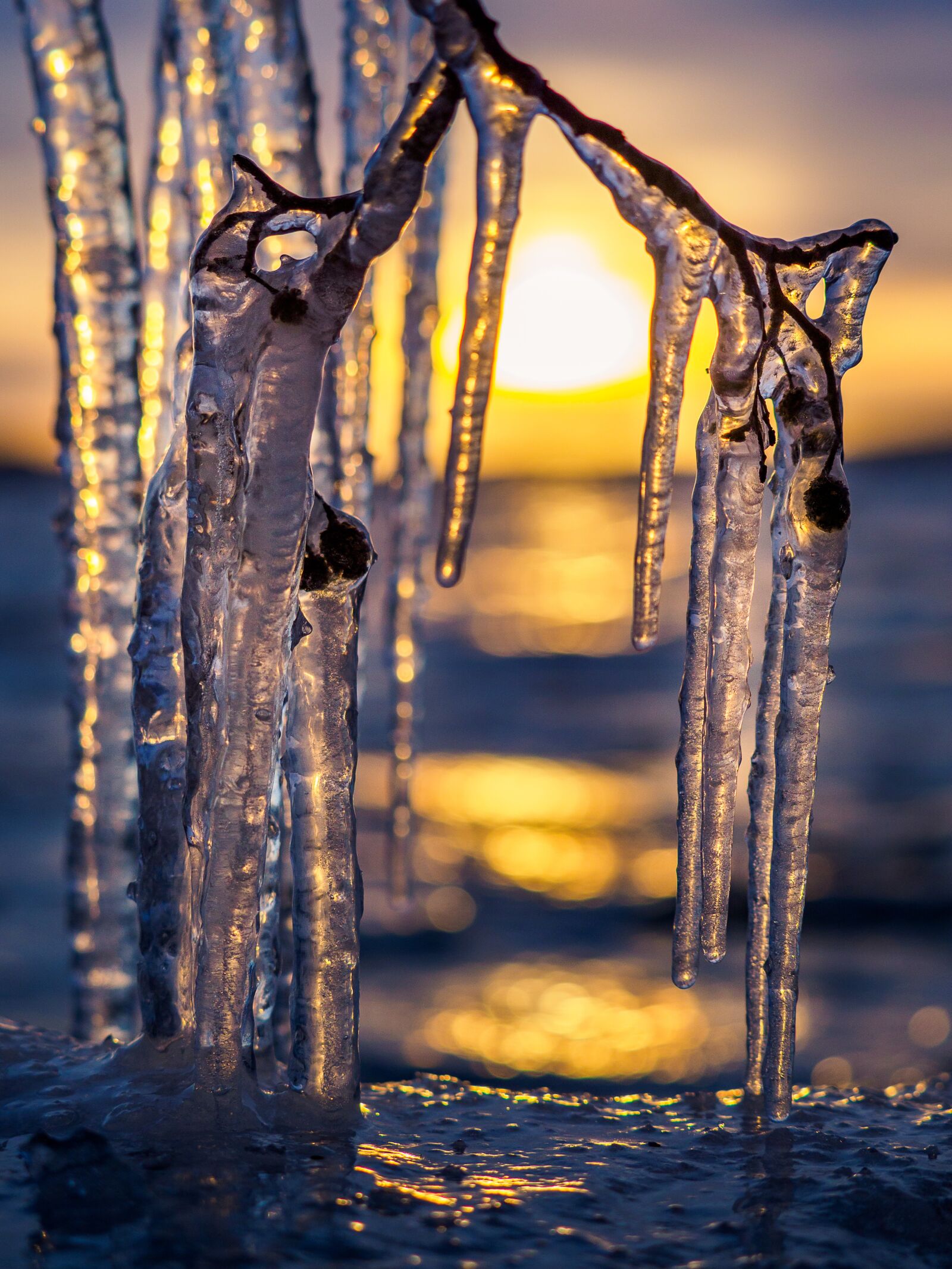 Olympus M.Zuiko Digital ED 40-150mm F2.8 Pro sample photo. Ice, icicles, winter photography