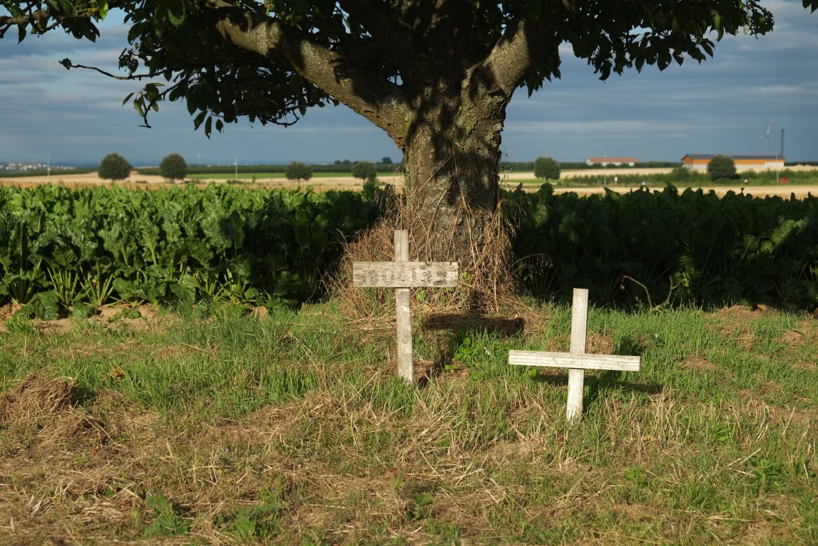Fujifilm X-E1 sample photo. Mourning, death, cross photography