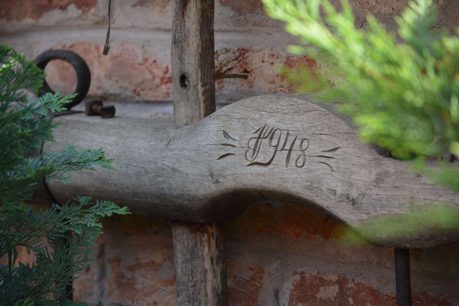 Nikon D5200 sample photo. Iga, nelson, grey cattle photography