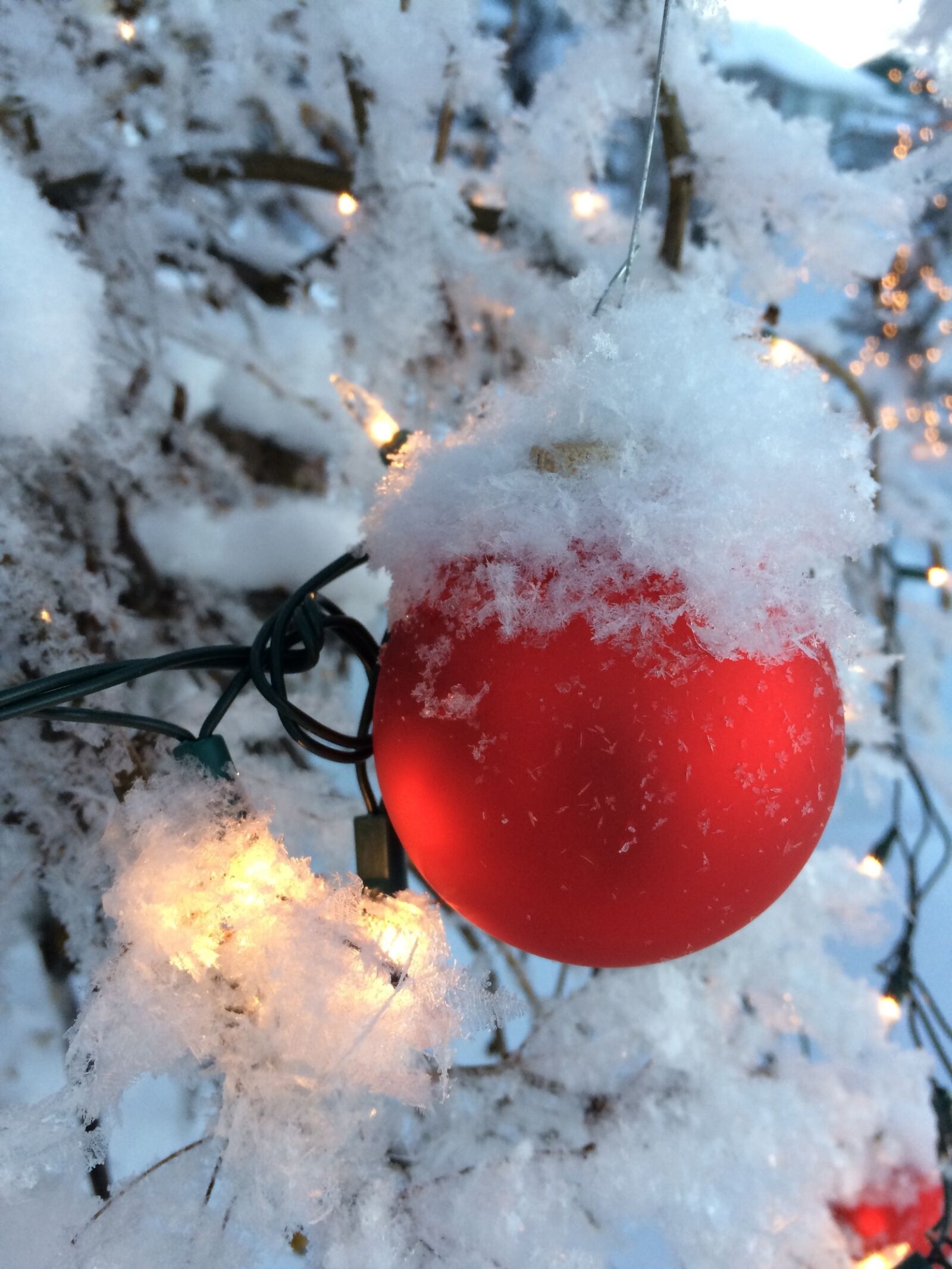 iPhone 5s back camera 4.15mm f/2.2 sample photo. Decoration, christmas, light photography