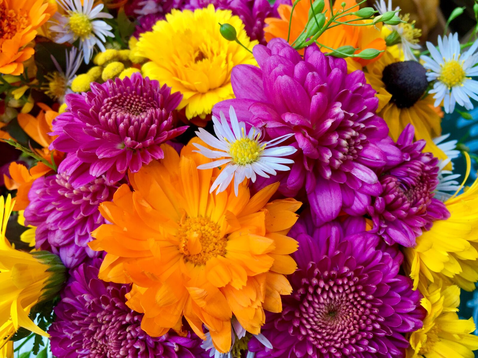 Apple iPhone 6s sample photo. Flower arrangement, colorful, still photography