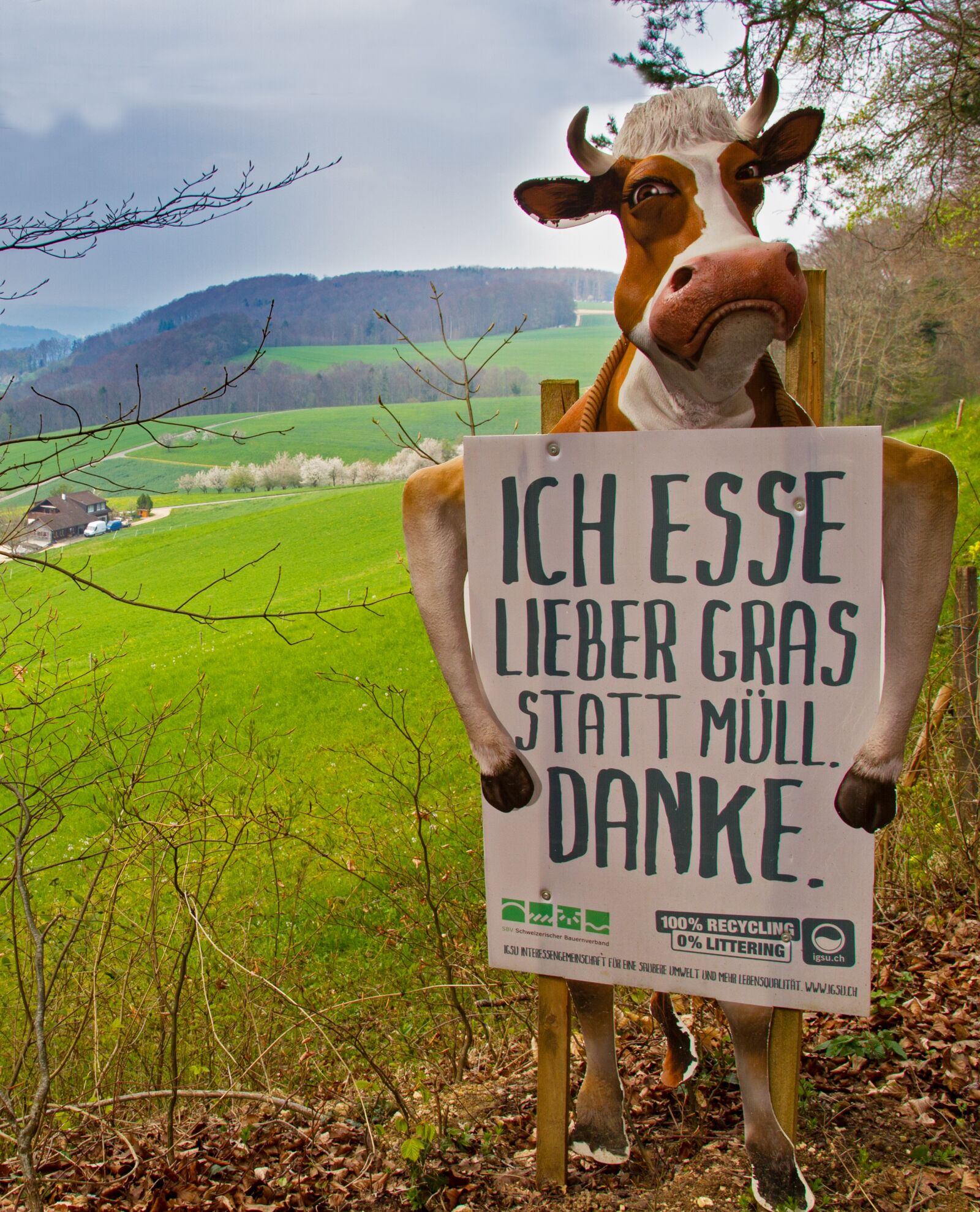 Canon EOS 7D sample photo. Cow, warning sign, warning photography