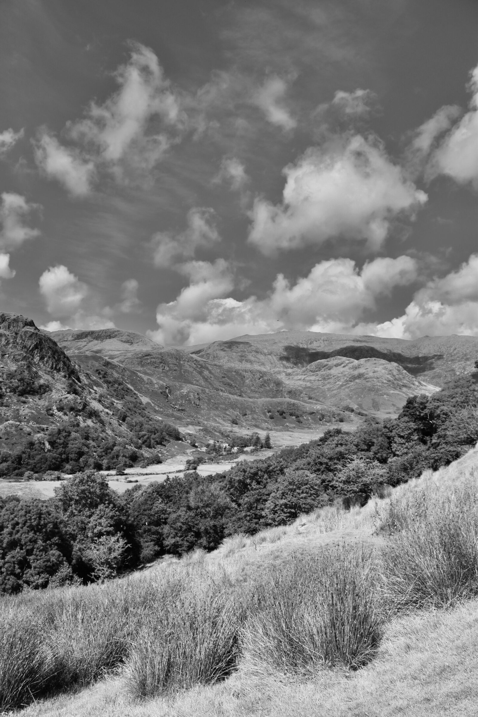 Nikon D5600 sample photo. Black white, snowdonia, landscape photography