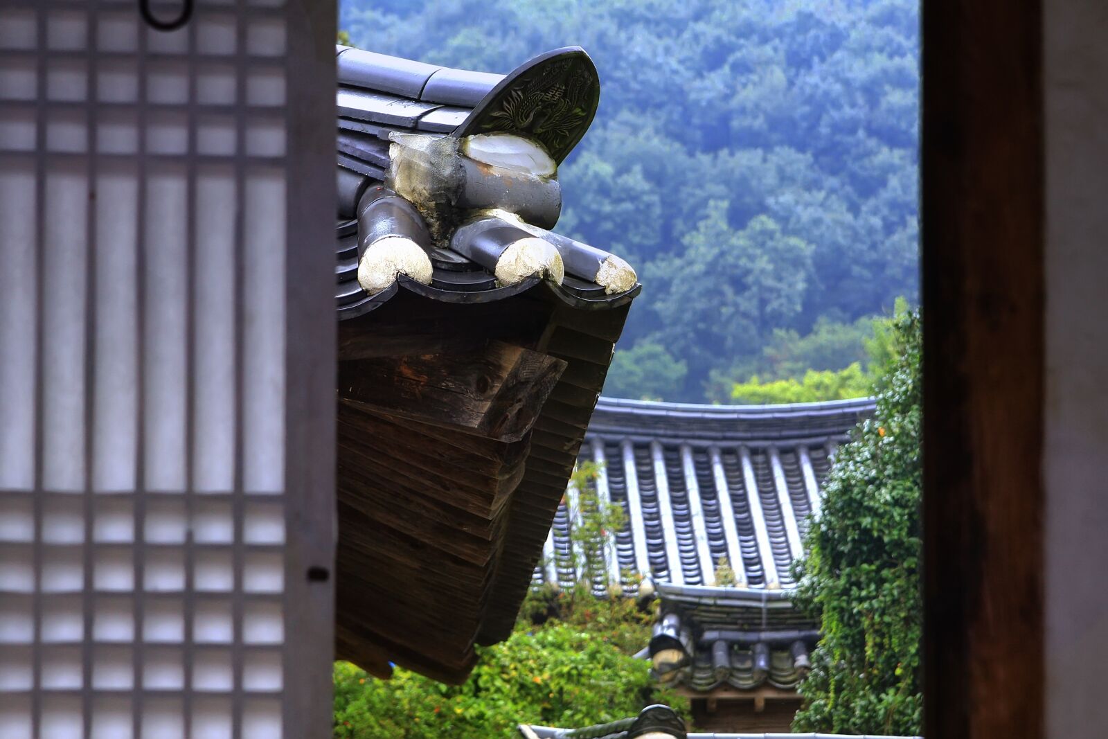 Canon EOS 40D sample photo. Hanok, kim house, travel photography