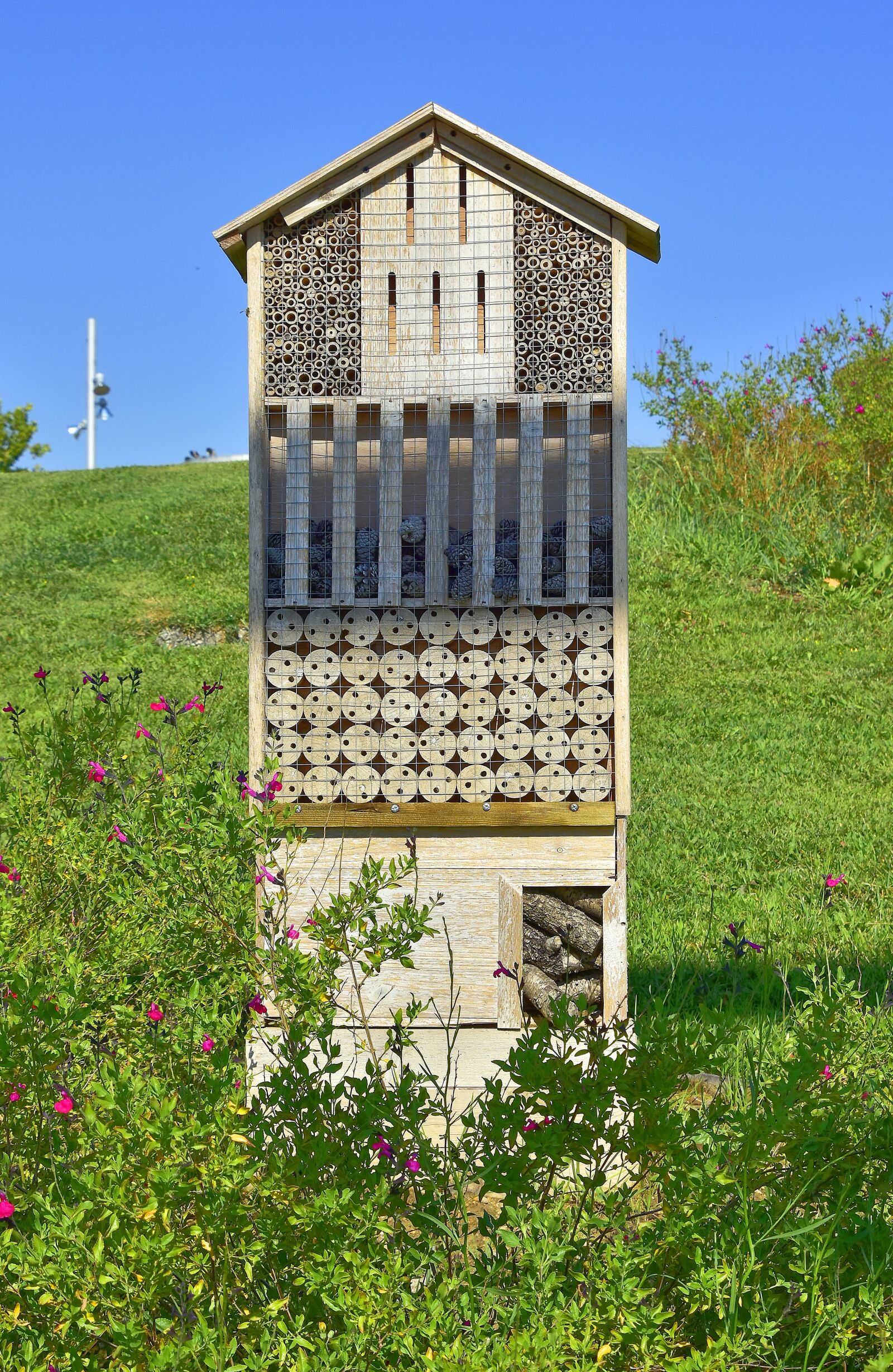 Nikon D7200 sample photo. Garden, architecture, green photography