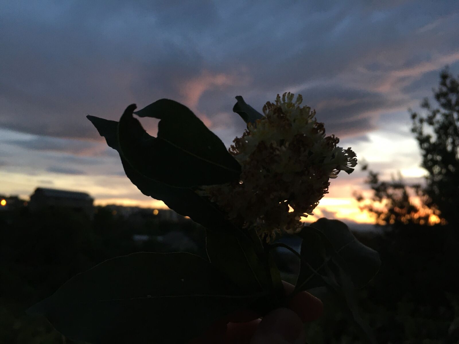 Apple iPhone 6s sample photo. Clouds, georgia, night photography