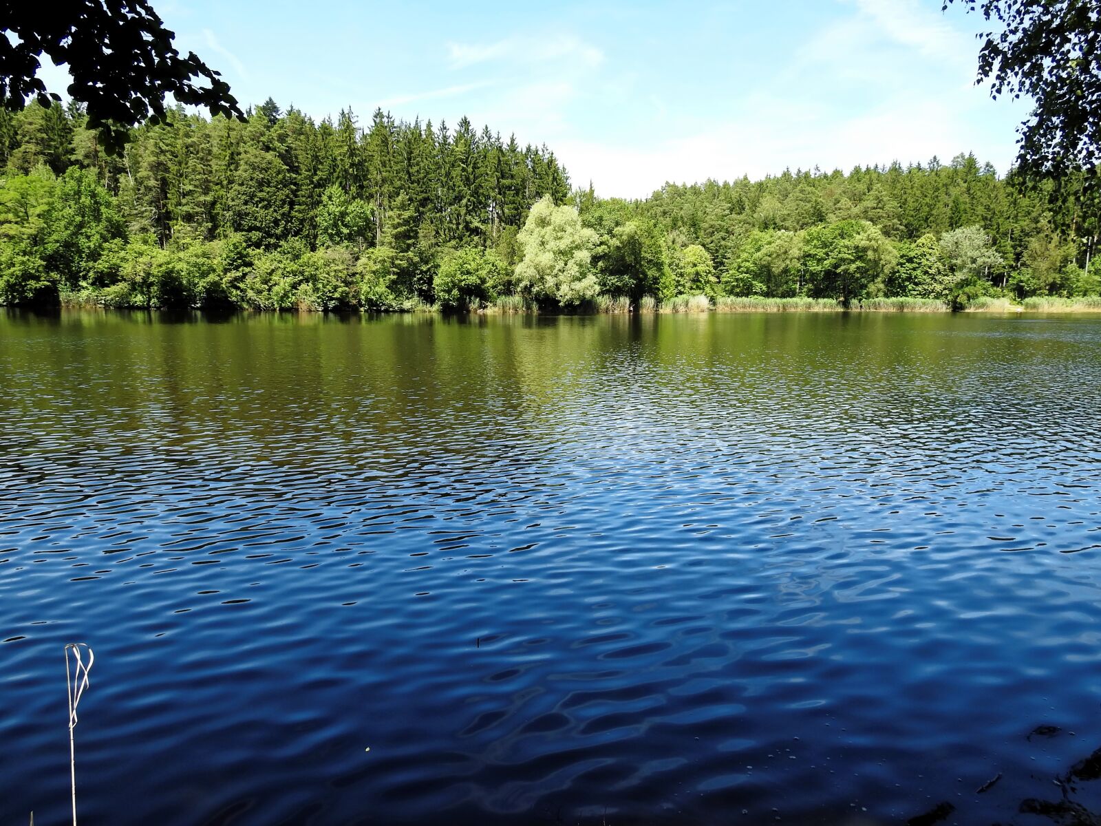Nikon Coolpix P900 sample photo. Lake, water, landscape photography