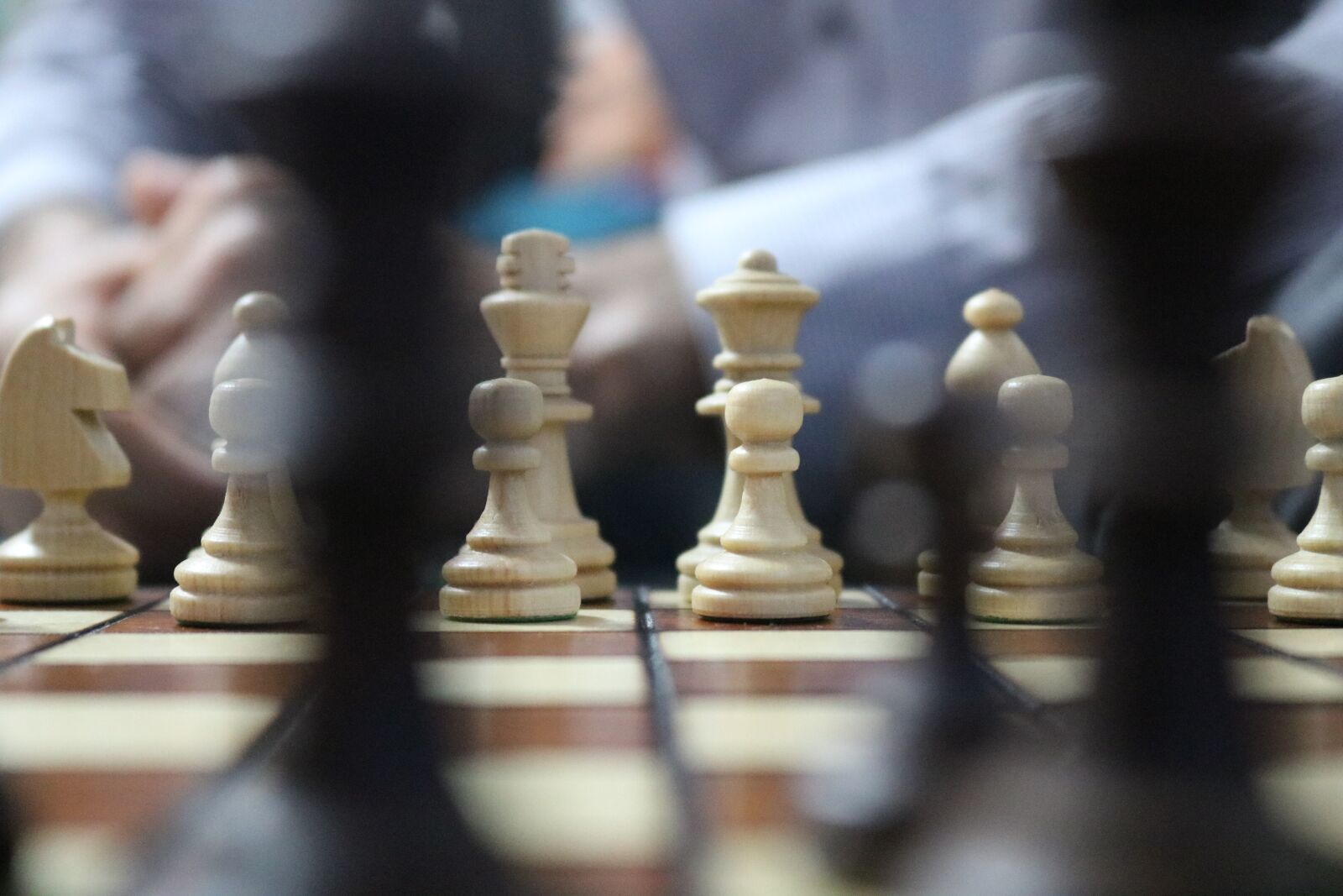 Canon EOS 750D (EOS Rebel T6i / EOS Kiss X8i) sample photo. Chess, horse, chess board photography