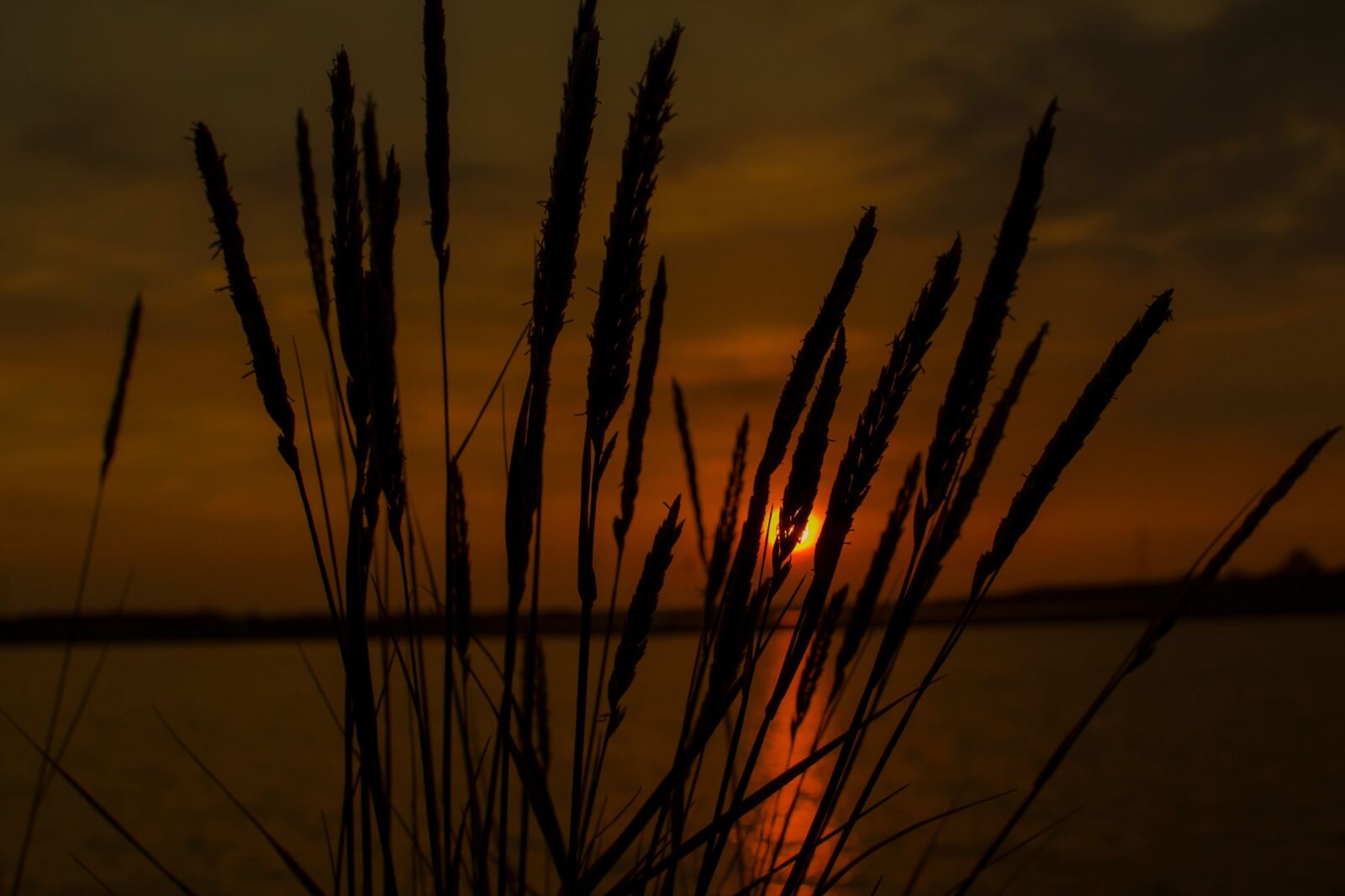 Nikon D3100 sample photo. Sun, sonnenschei, sunset photography