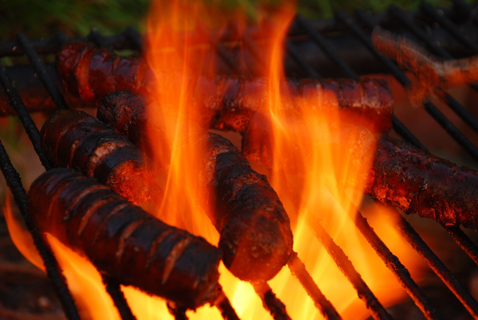 Nikon D80 sample photo. Sausage, grill, grate photography