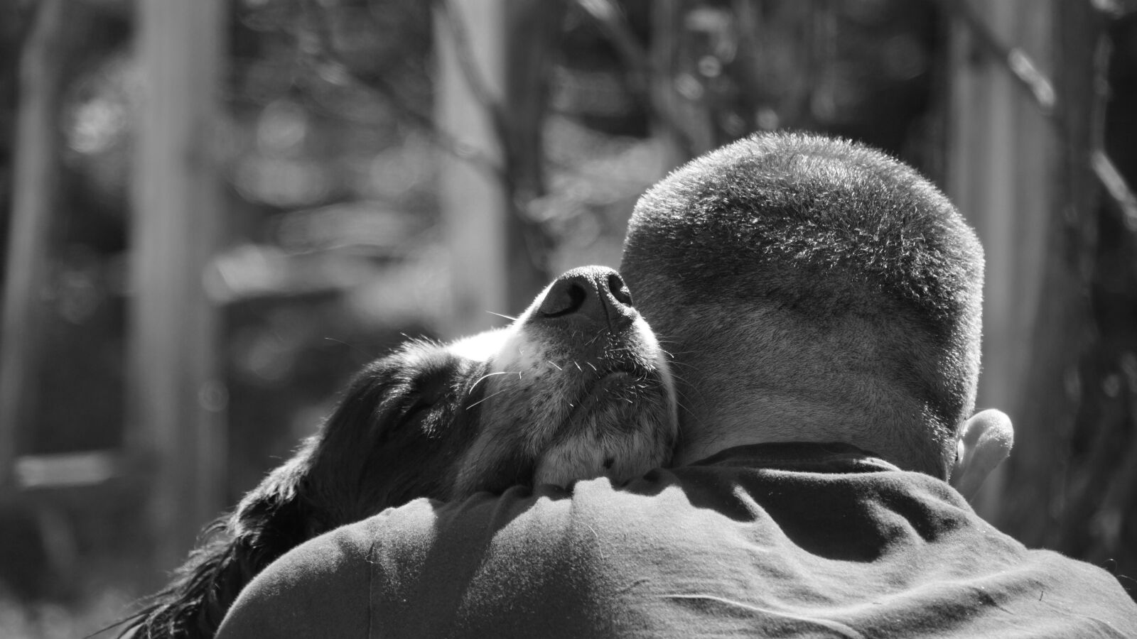 Sony E 18-200mm F3.5-6.3 OSS LE sample photo. Dog, man, hug photography