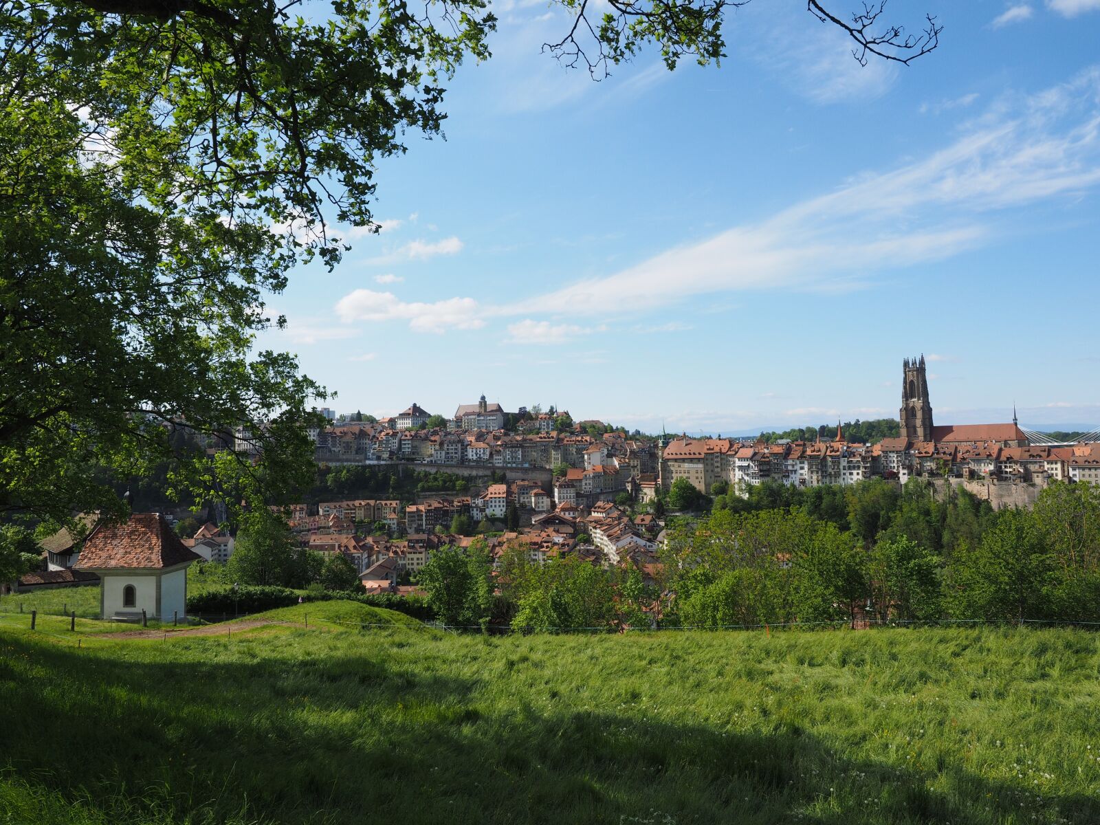 Olympus OM-D E-M1 + Olympus M.Zuiko Digital ED 12-40mm F2.8 Pro sample photo. Fribourg, city, switzerland photography