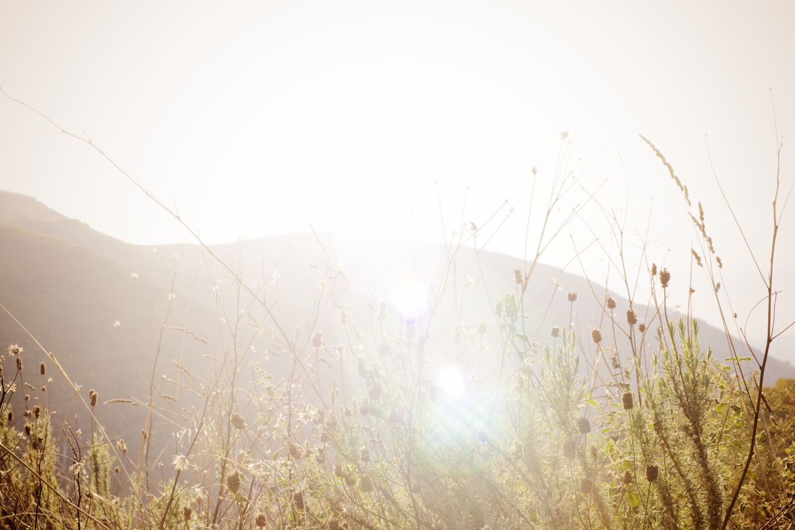Nikon D750 sample photo. Sunset, landscape, portugal photography