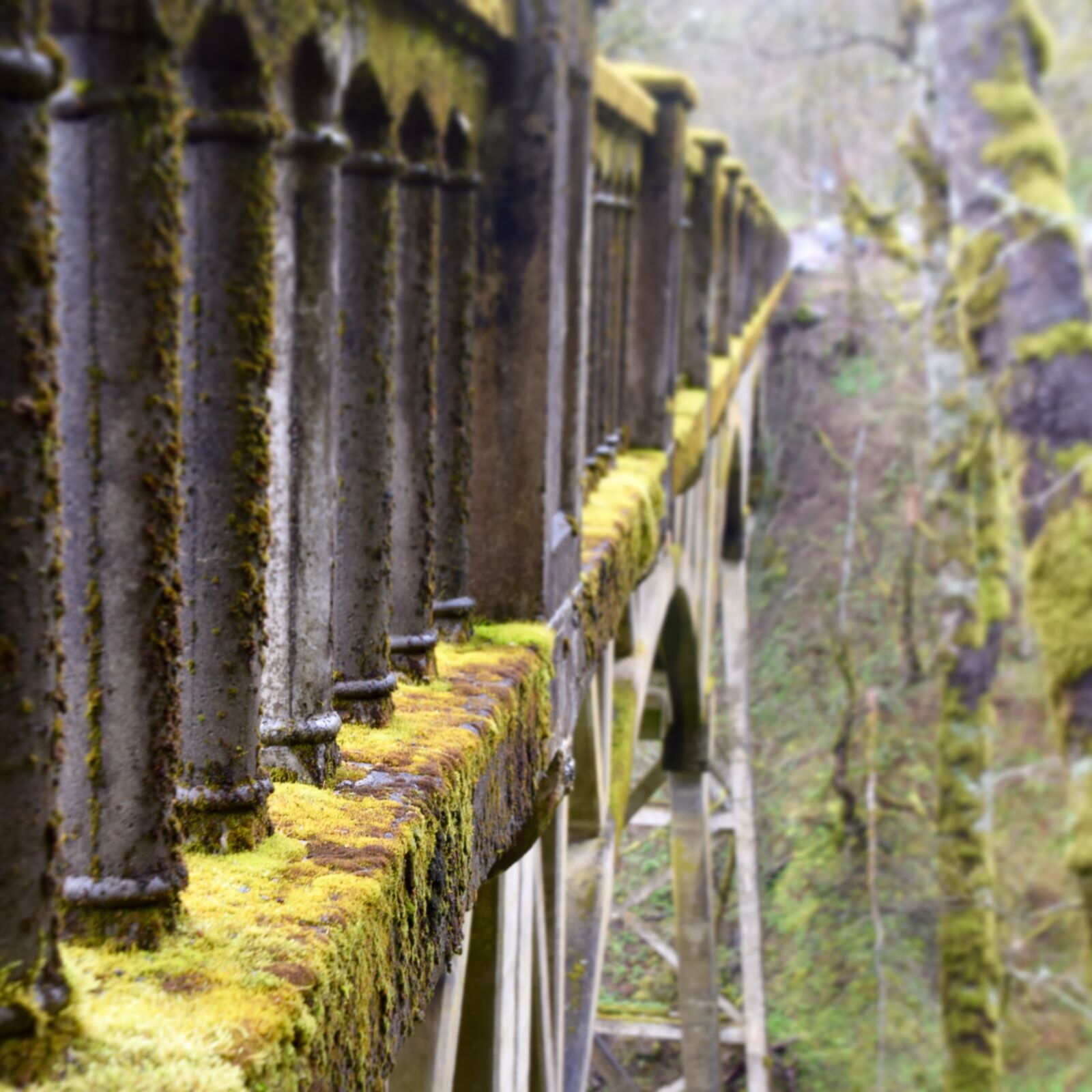 Nikon D3300 sample photo. Bridge, moss, oregon photography
