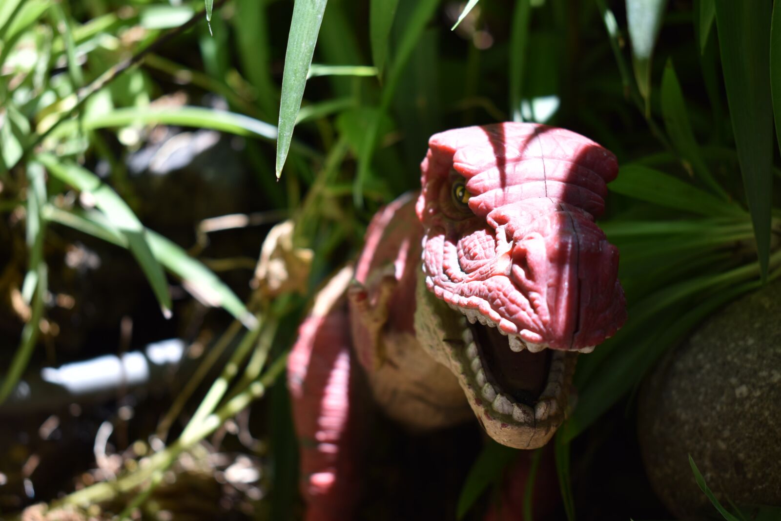 Nikon D5600 sample photo. Dinosaur rex, toy, dinosaur photography