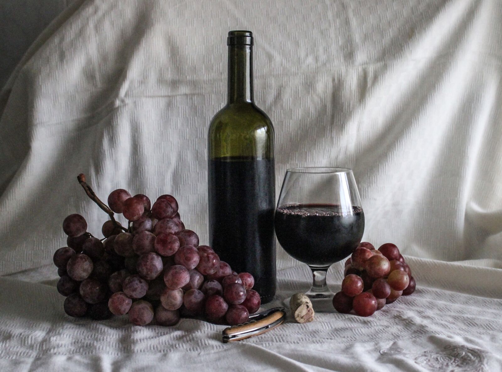 Canon EOS 550D (EOS Rebel T2i / EOS Kiss X4) sample photo. Grapes, wine, vintage photography