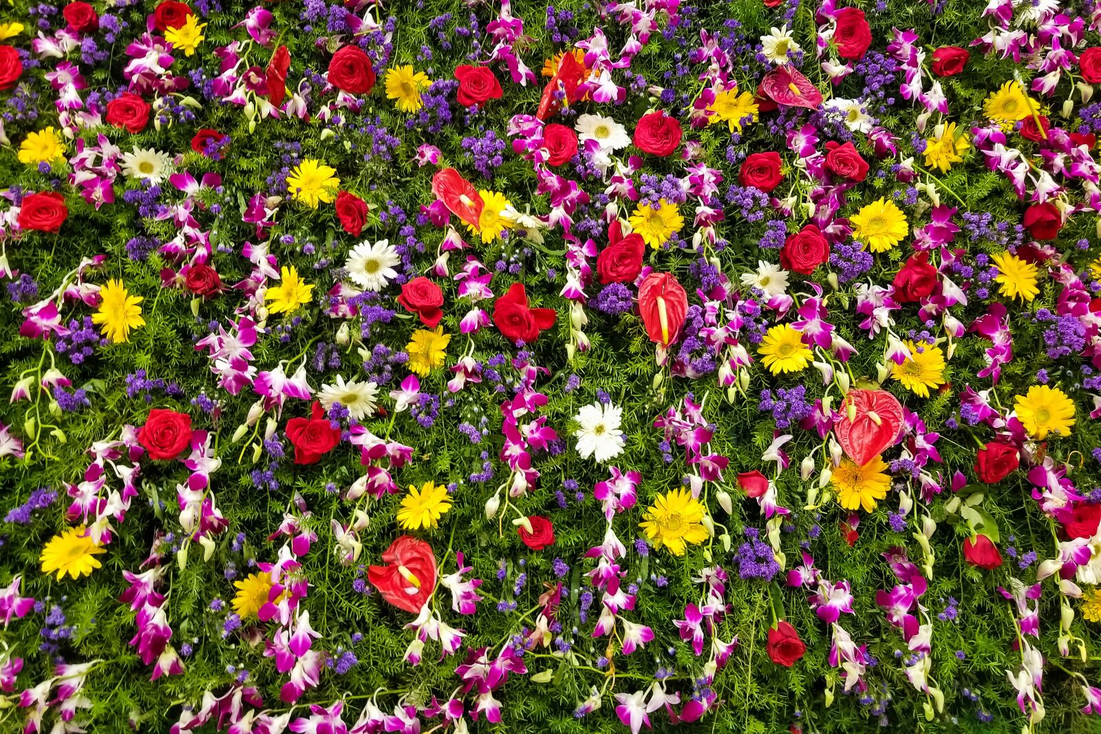 Samsung Galaxy S8+ Rear Camera sample photo. Flowers, decoration, wall photography