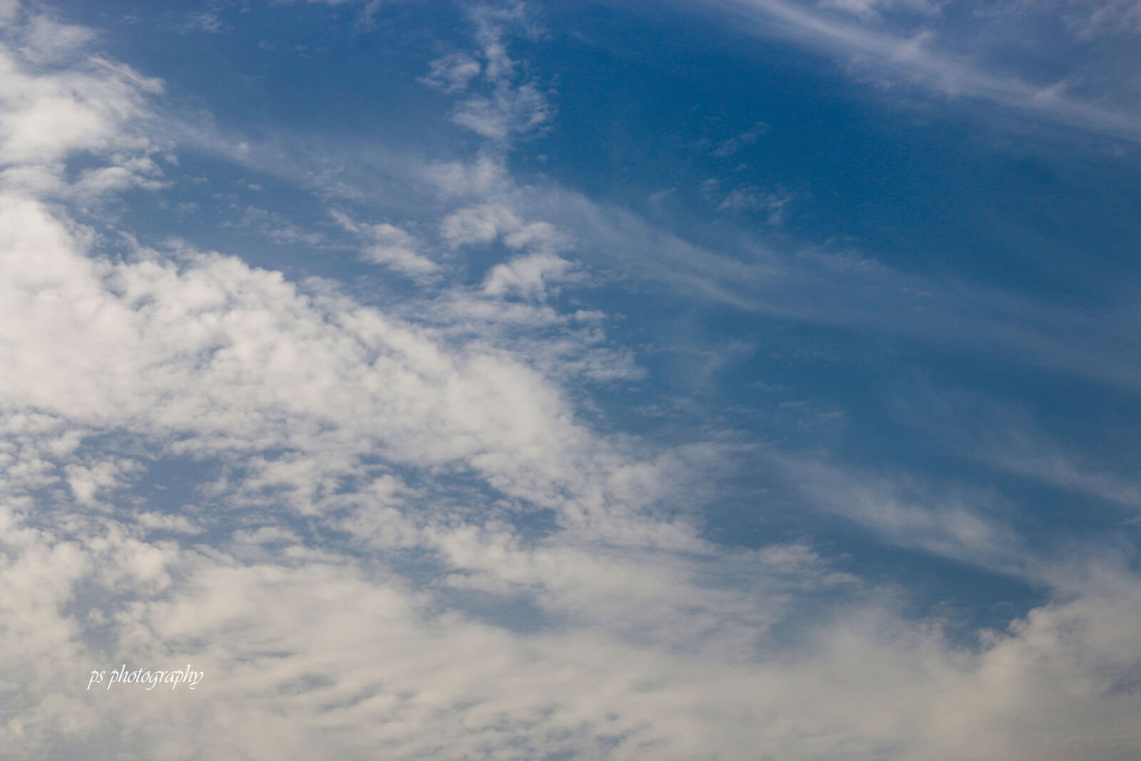 Canon EOS 70D + Canon EF 50mm F1.8 STM sample photo