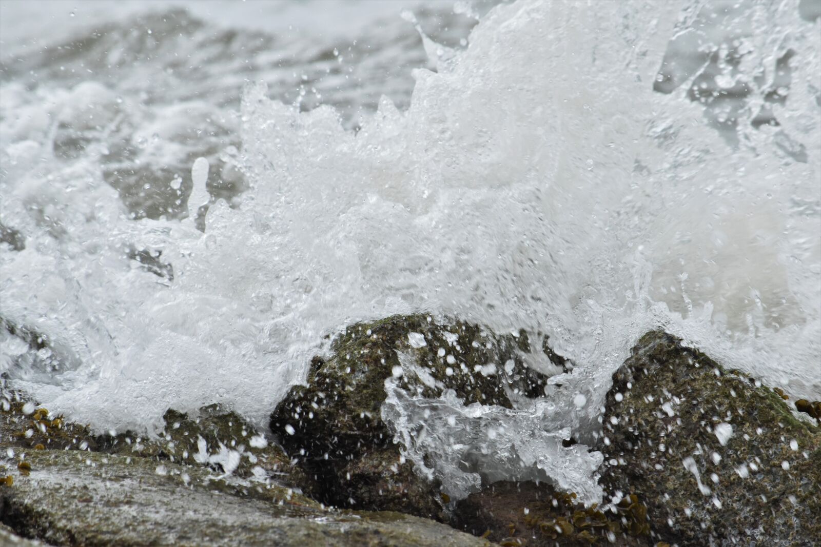 Nikon D5500 sample photo. Landscape, singapore, beach photography