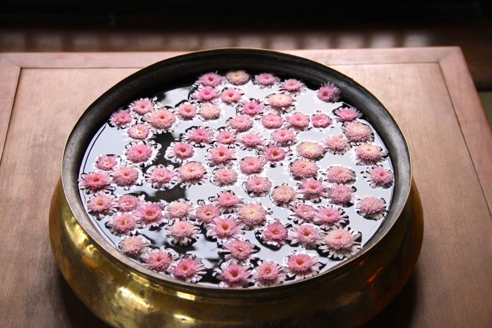 Canon EF-S 18-135mm F3.5-5.6 IS sample photo. Pink, flowers, bowl photography