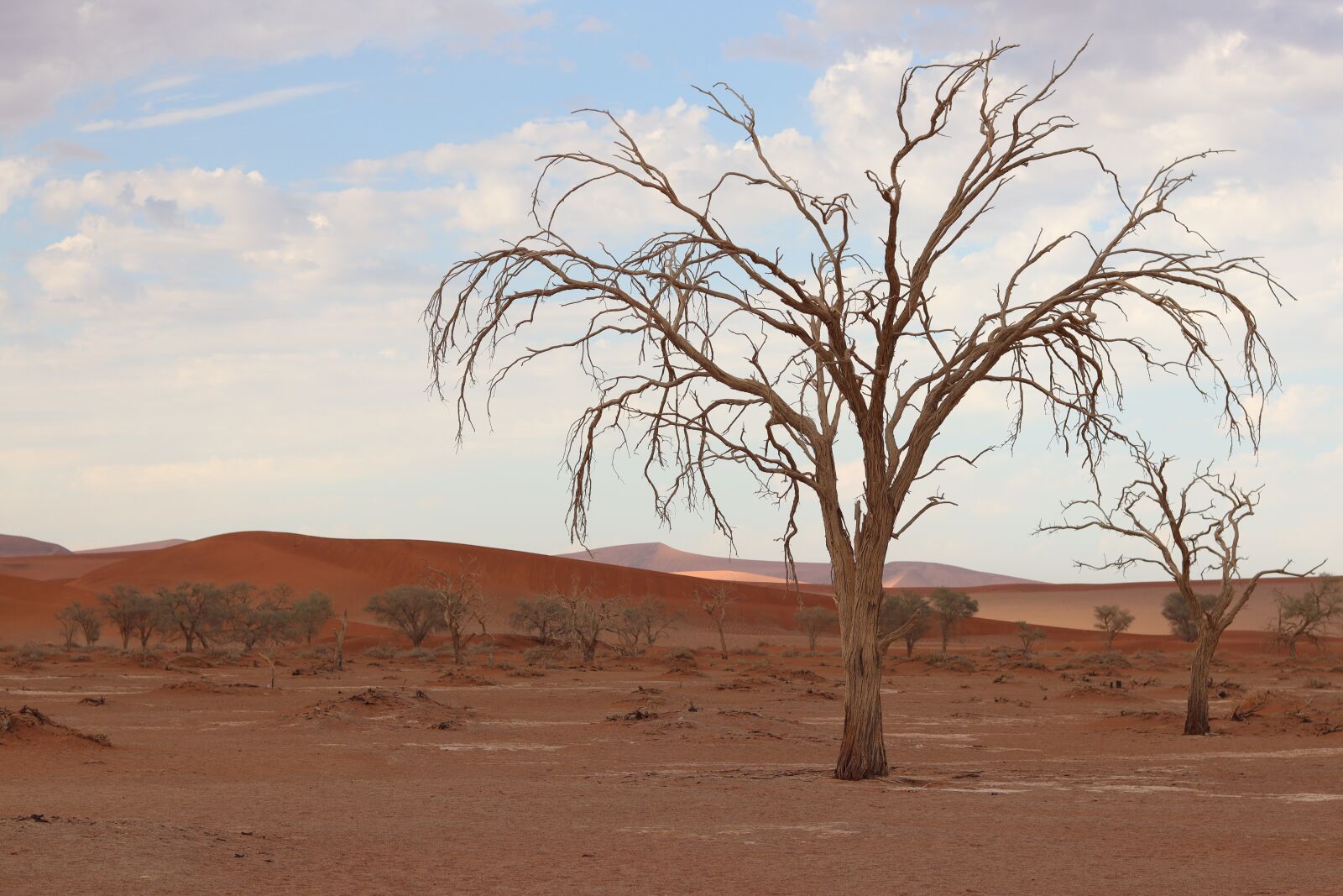 Canon EOS 250D (EOS Rebel SL3 / EOS Kiss X10 / EOS 200D II) sample photo. Sossusvlei, namib desert, desert photography
