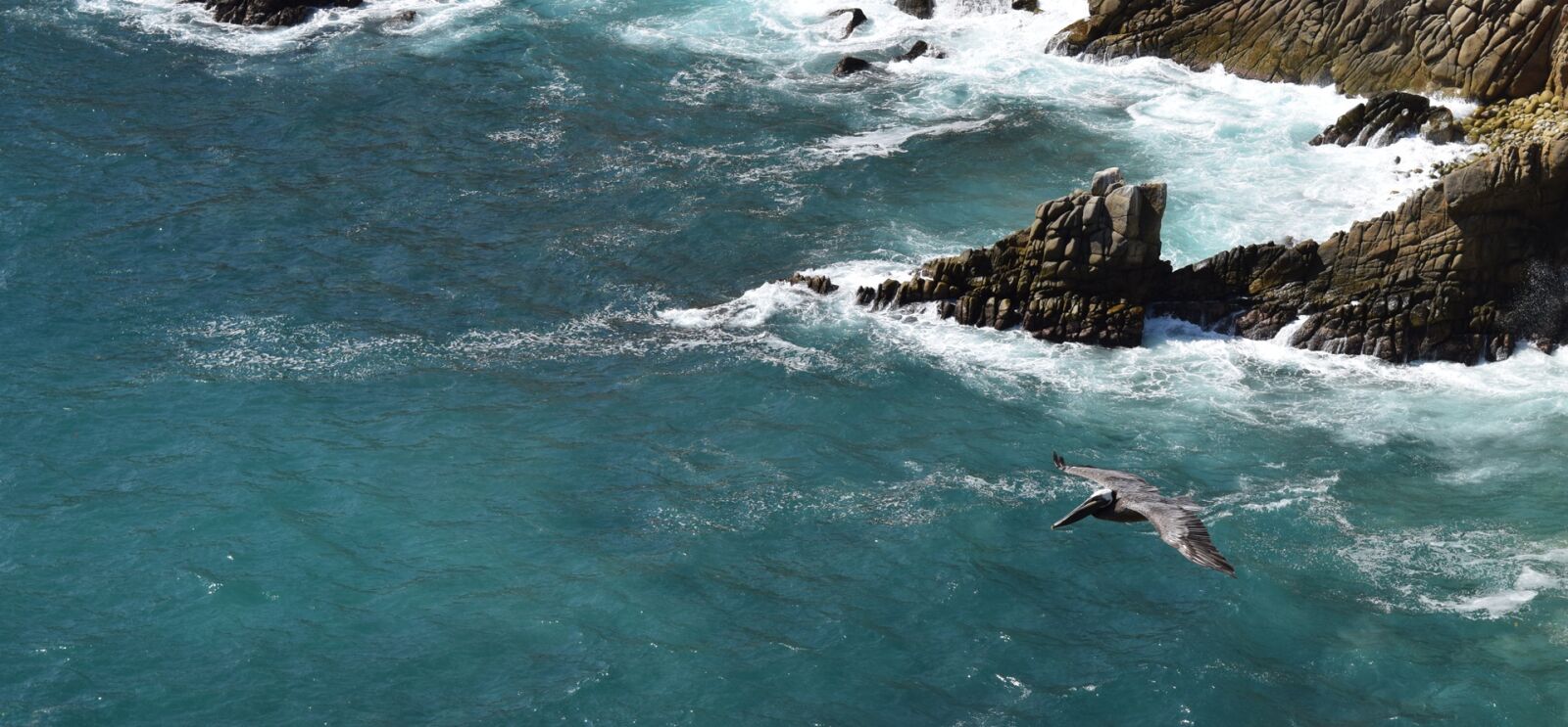 Nikon D5300 sample photo. Bird, cliffs, flying photography