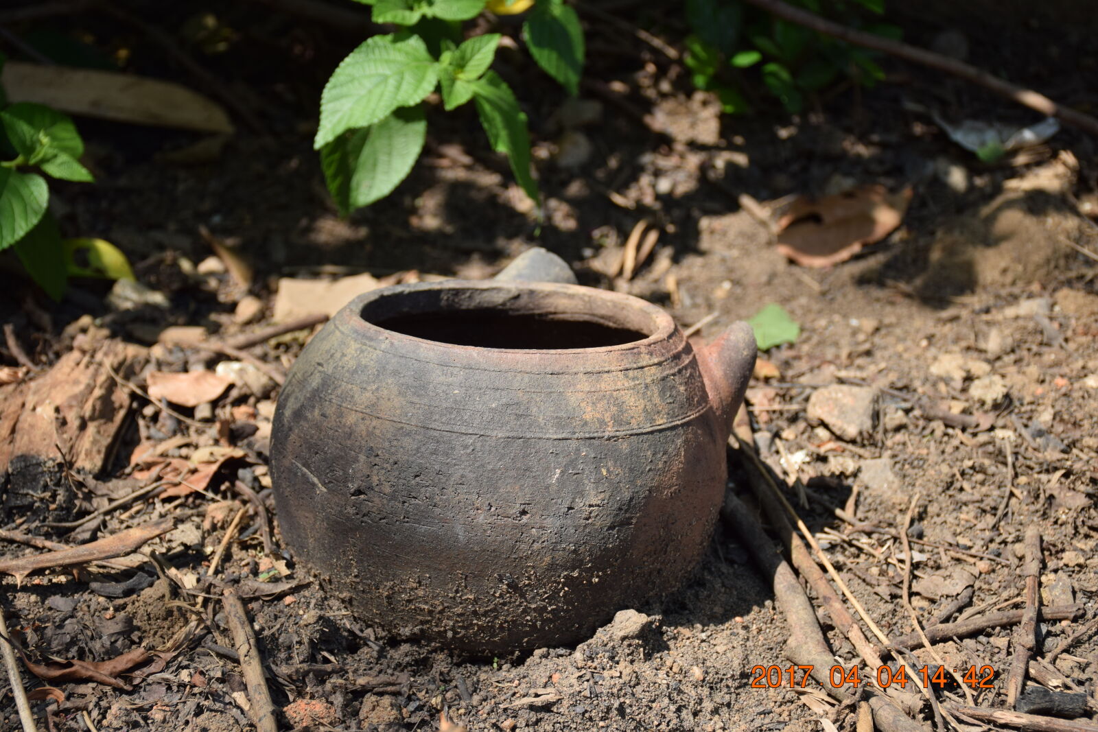 Nikon D5300 sample photo