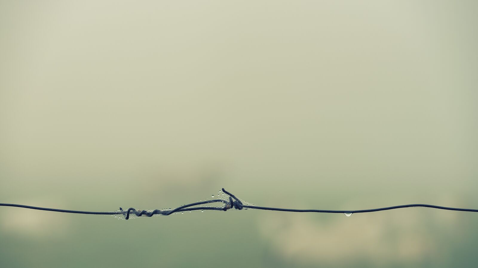 DT 70-200mm F4 SAM sample photo. Barbed wire, fog, foggy photography