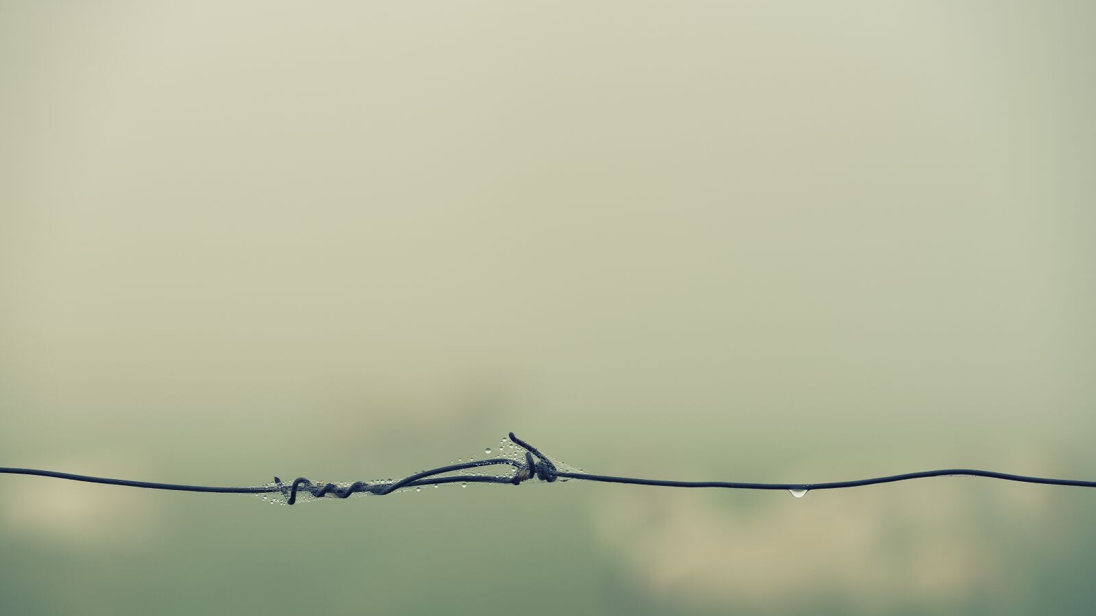 Sony a7 II + DT 70-200mm F4 SAM sample photo. Barbed wire, fog, foggy photography