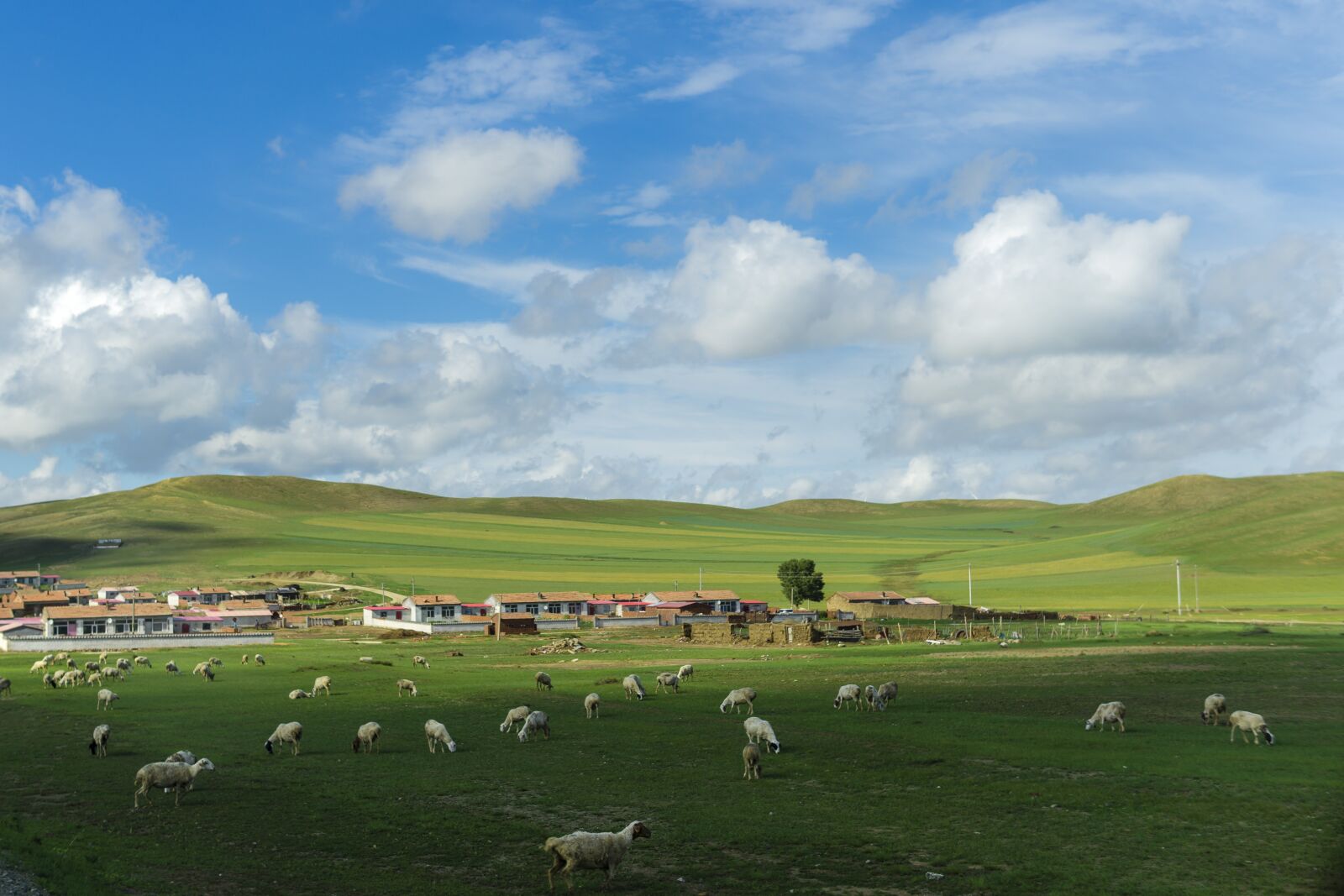 Sony a5100 sample photo. Prairie, blue sky and photography