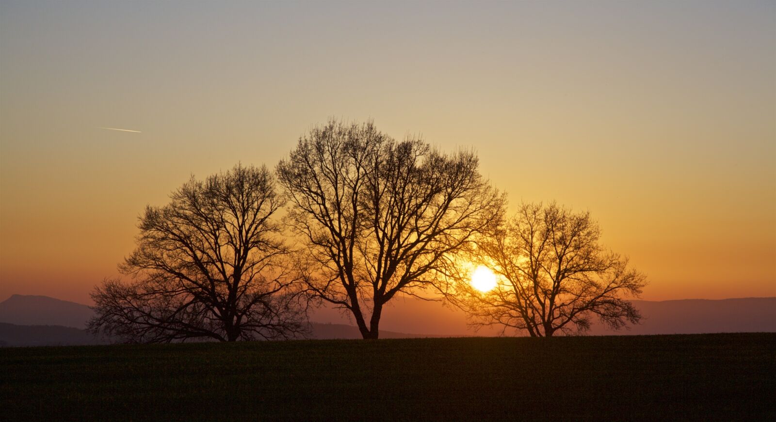 Canon EOS 5D Mark II sample photo. Sunset, trees, backlighting photography