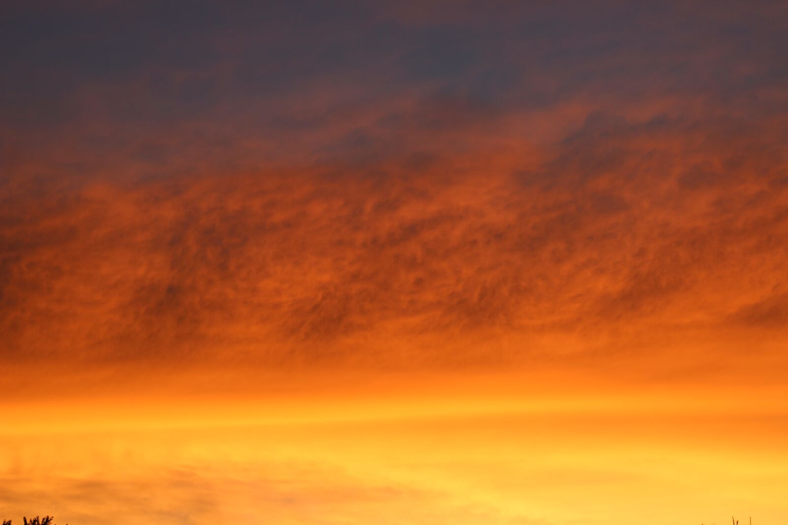 Canon EOS 1200D (EOS Rebel T5 / EOS Kiss X70 / EOS Hi) sample photo. Sunset, pink, yellow photography