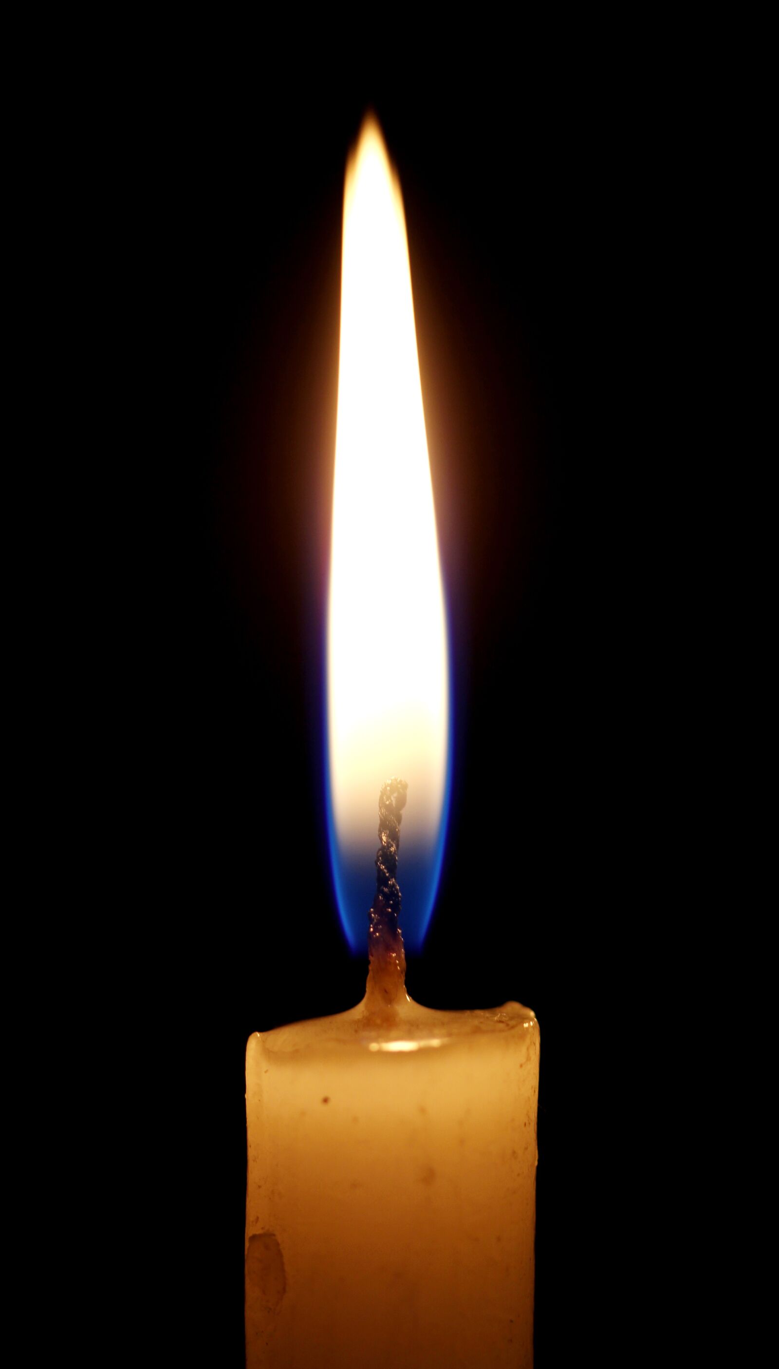 Canon EOS 550D (EOS Rebel T2i / EOS Kiss X4) sample photo. Candle, light, flame photography