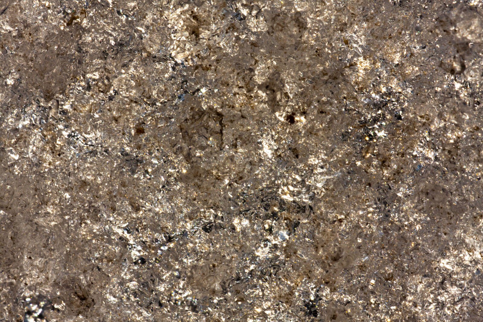 Canon EF 180mm F3.5L Macro USM sample photo