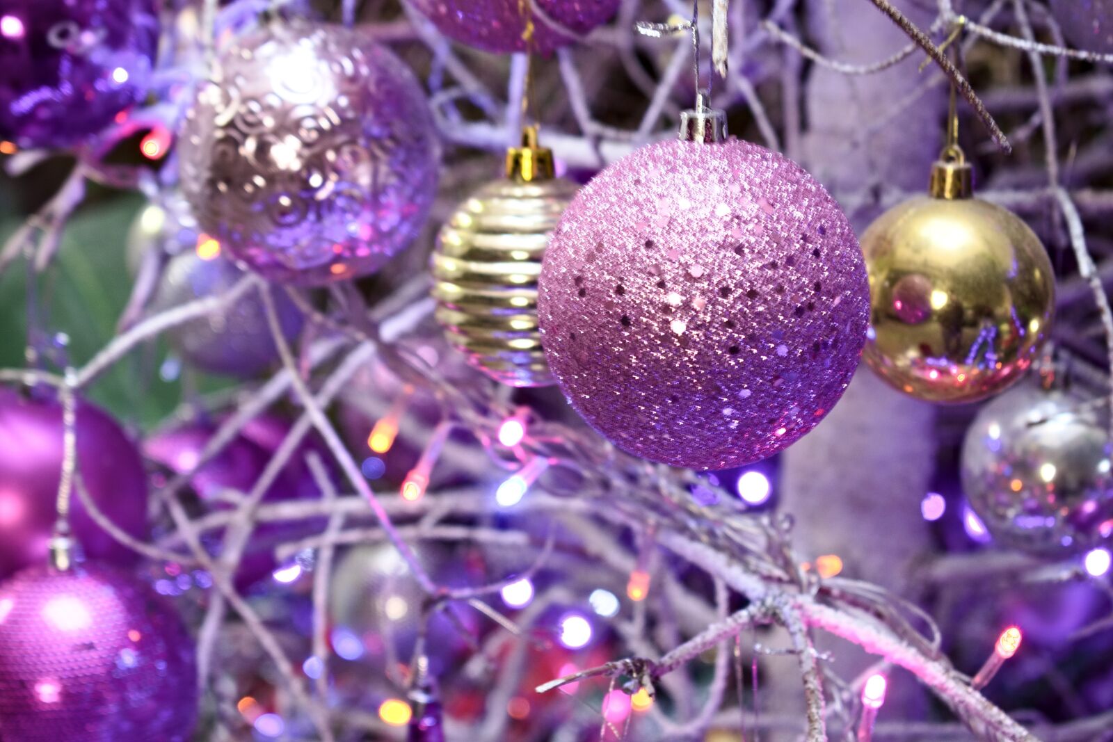 Nikon D5600 sample photo. Sphere, christmas, christmas tree photography