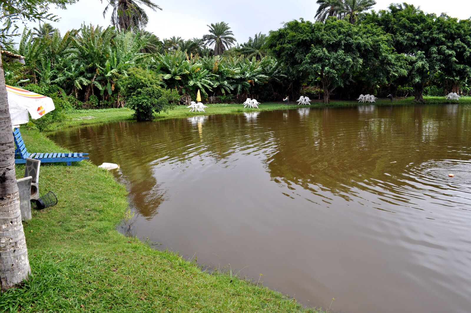Nikon D5000 sample photo. Beautifully, decorated, lake, shore photography