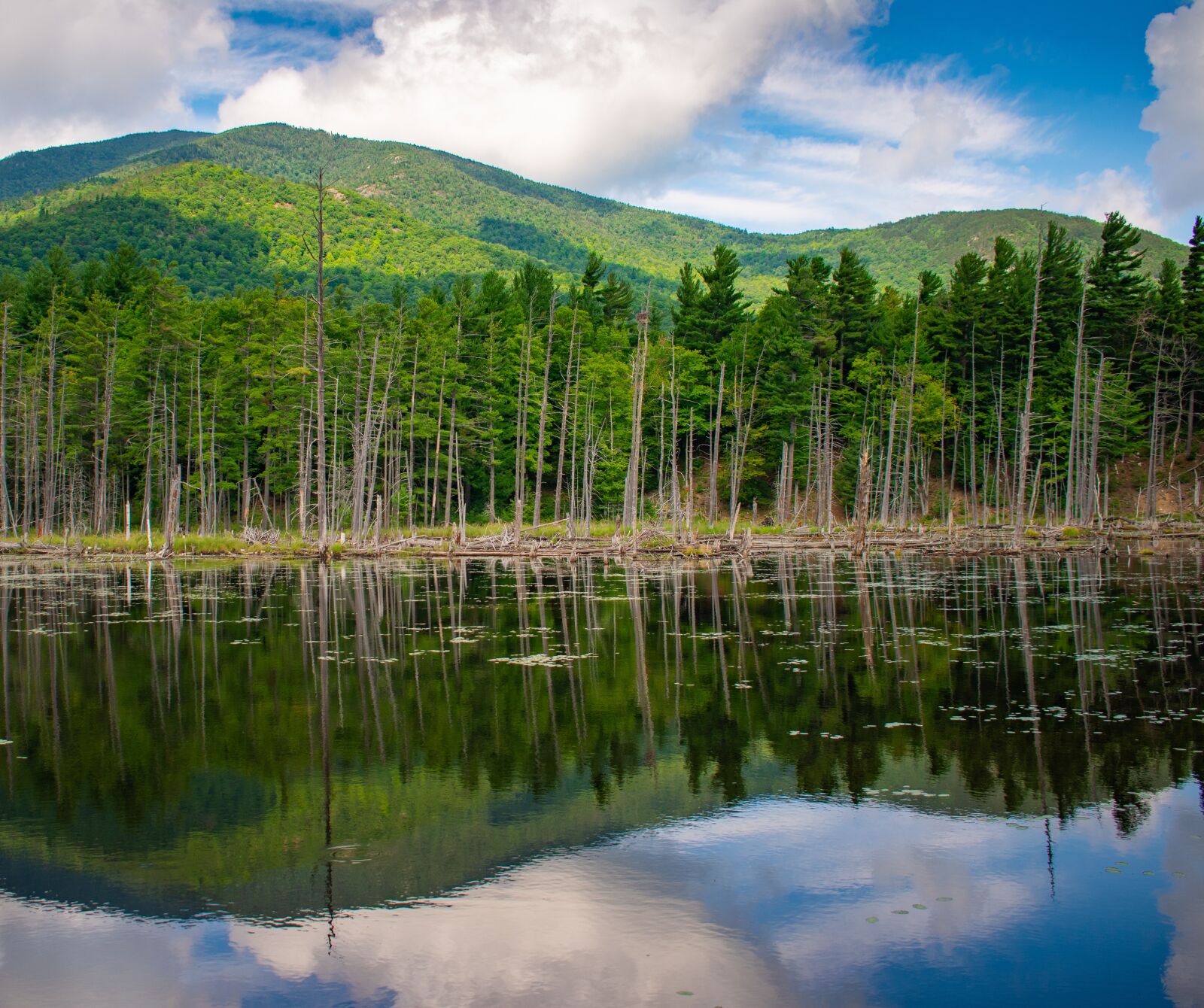 Nikon D3400 sample photo. Adirondacks, trees, lake photography