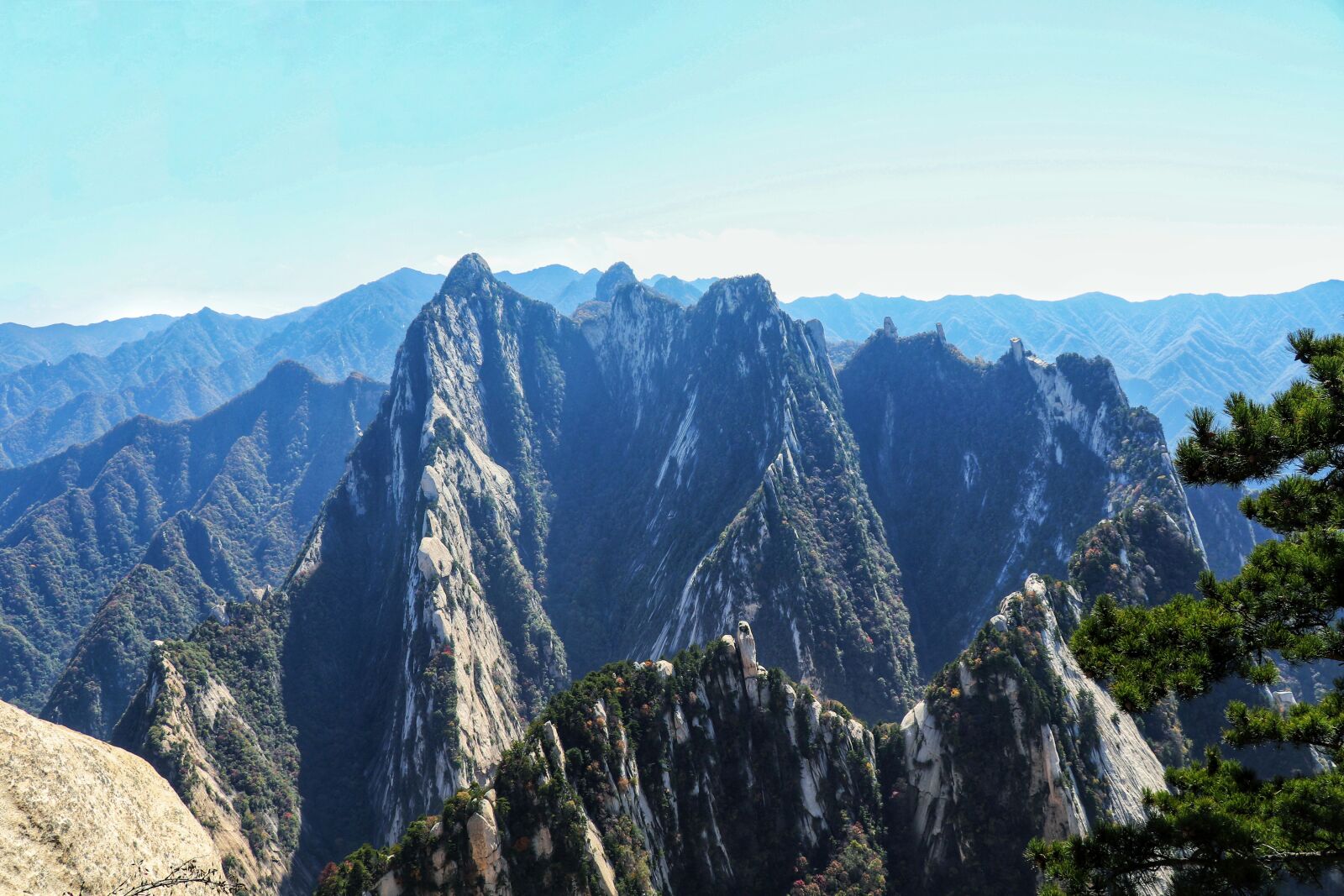 Canon EF-S 18-135mm F3.5-5.6 IS USM sample photo. China, shaanxi province, pinus photography