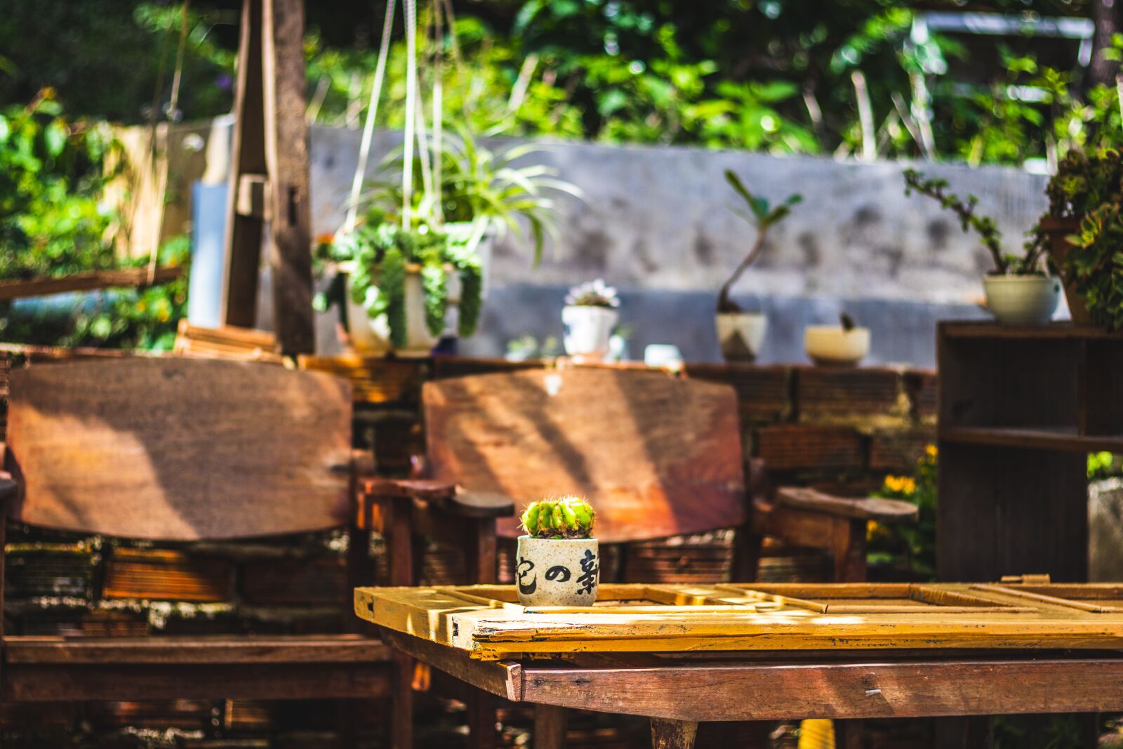Canon EOS 80D + Canon EF 50mm F1.8 STM sample photo. Landscape, outside, nature photography