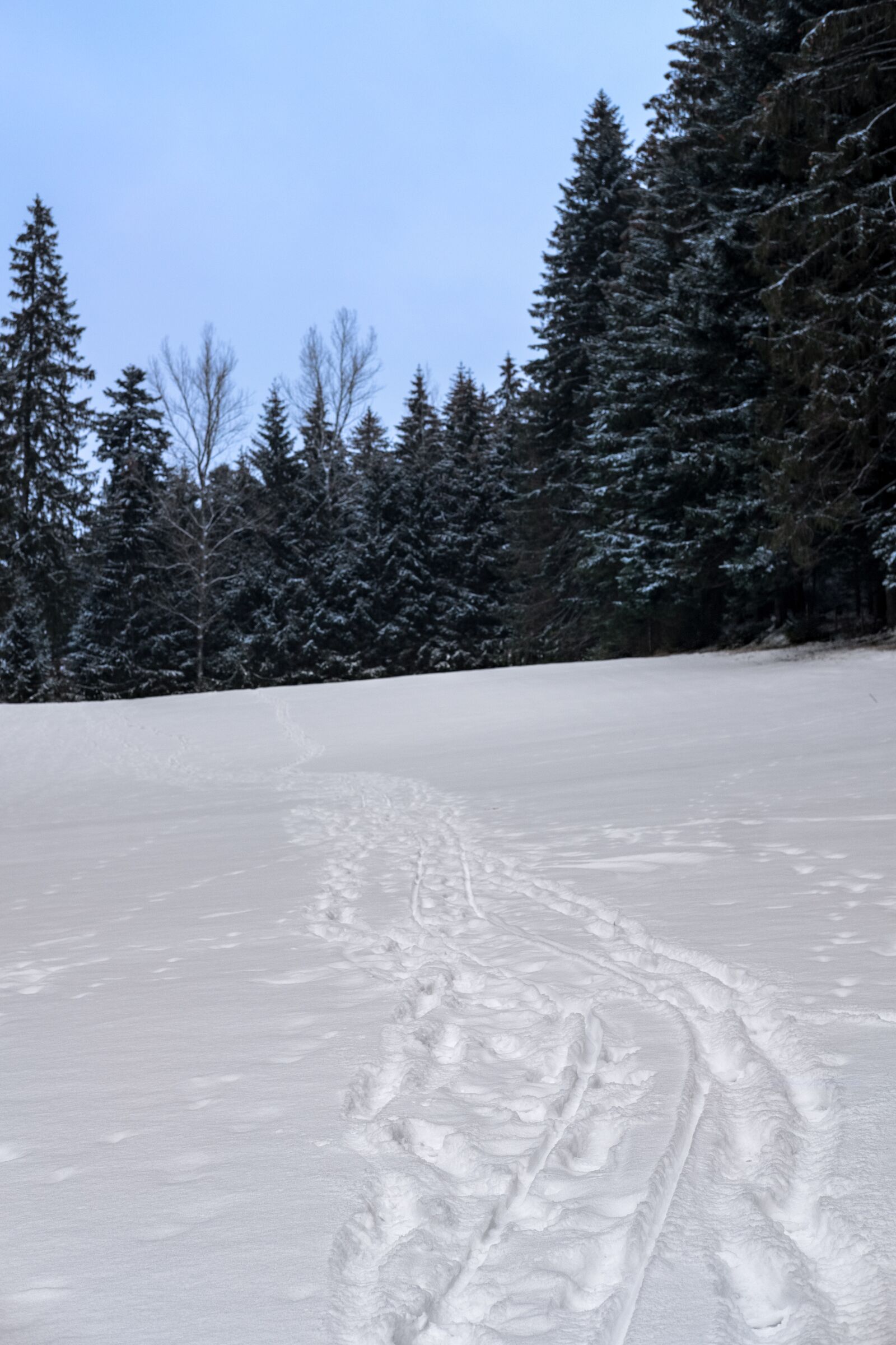 Fujifilm X-T2 + Fujifilm XF 35mm F2 R WR sample photo. Winter, snow, away photography