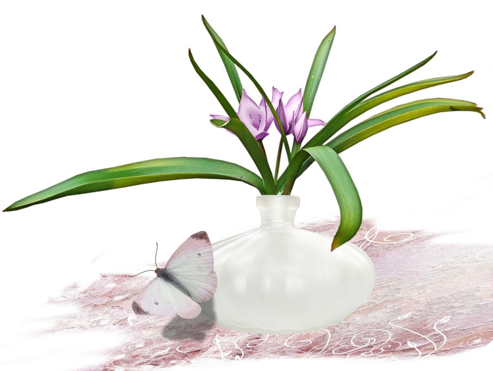 Panasonic DMC-LS3 sample photo. Flower, still, life photography