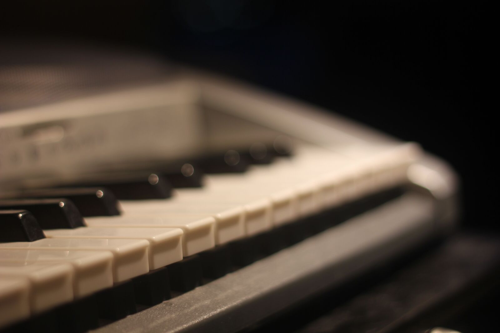 Canon EOS 550D (EOS Rebel T2i / EOS Kiss X4) sample photo. Piano, melancholy, artistic photography