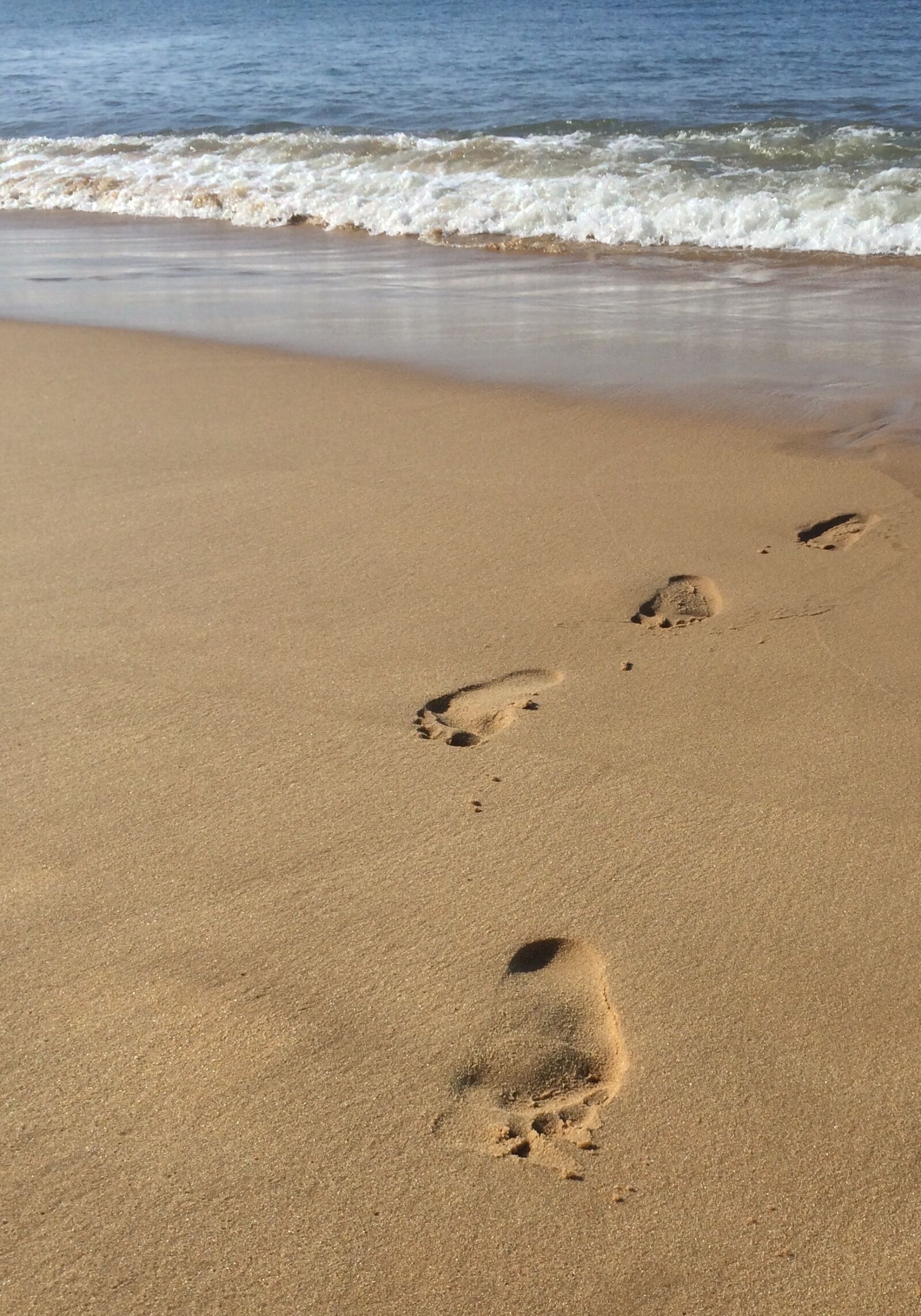 iPhone 5s back camera 4.15mm f/2.2 sample photo. Autumn, beach, beachlife, bordeaux photography