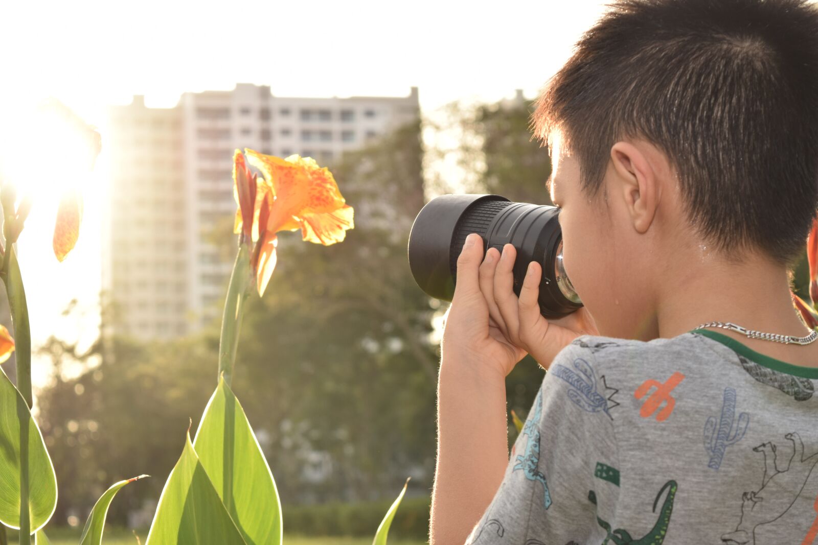 Nikon D3300 sample photo. Boy, discover, beautiful nature photography