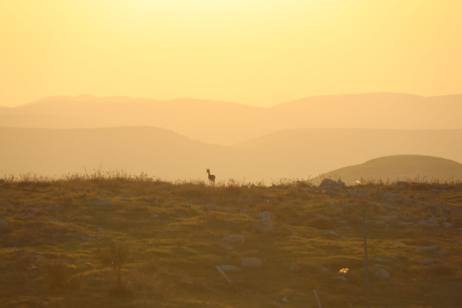 Canon EOS 5D Mark IV sample photo. Sunset, sky, landscape photography
