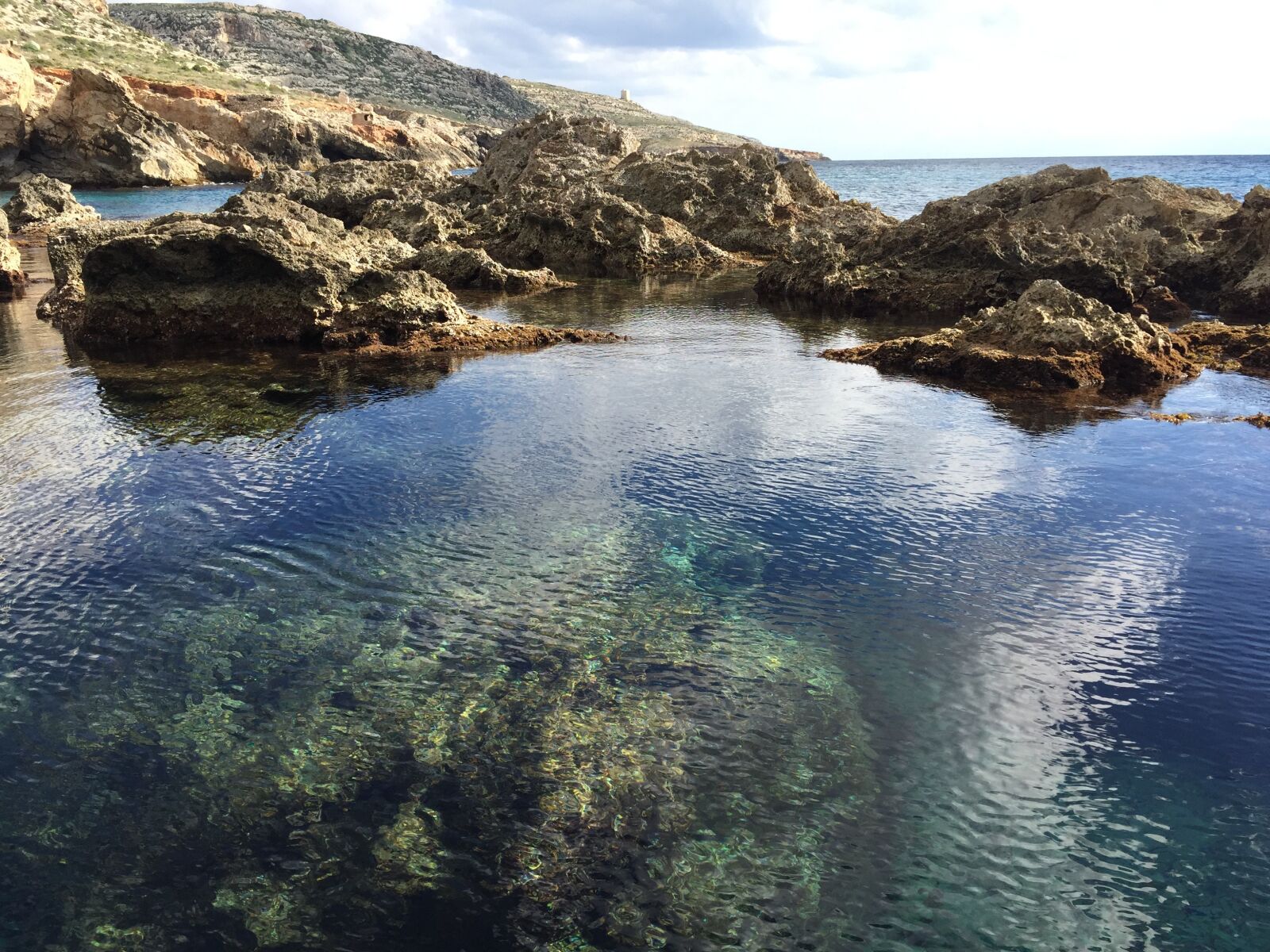 Apple iPhone 6 sample photo. Green, rock, sea photography