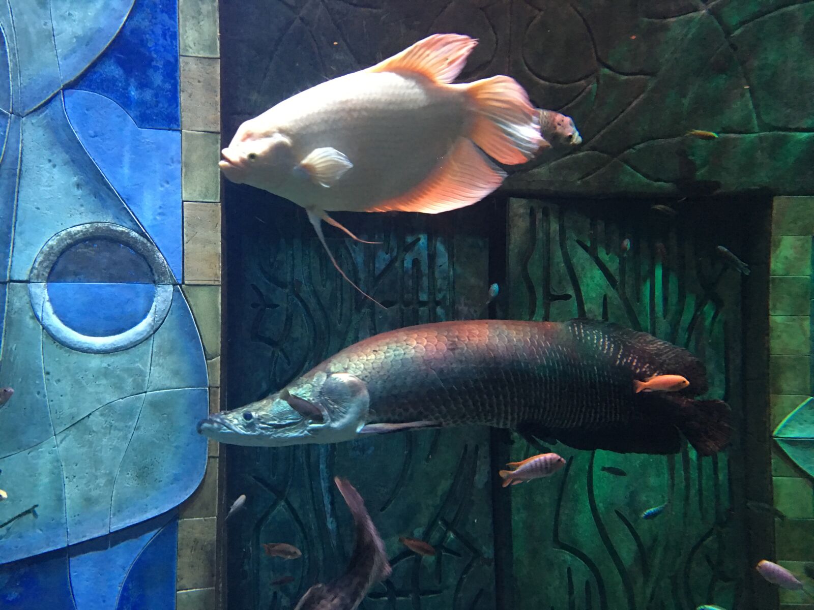 iPhone 6s Plus back camera 4.15mm f/2.2 sample photo. Aqua, dubai, atlantis hotel photography