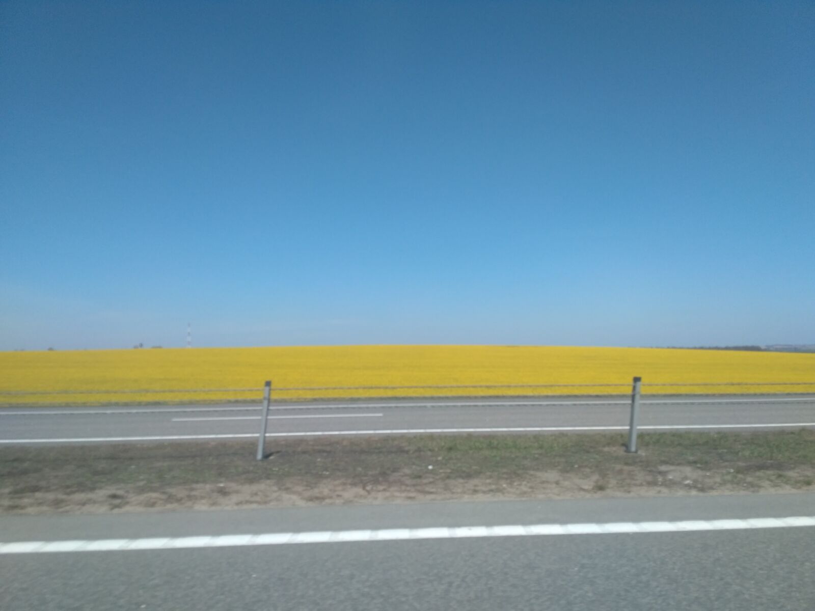 Xiaomi Redmi 3S sample photo. Field, sky, clear photography