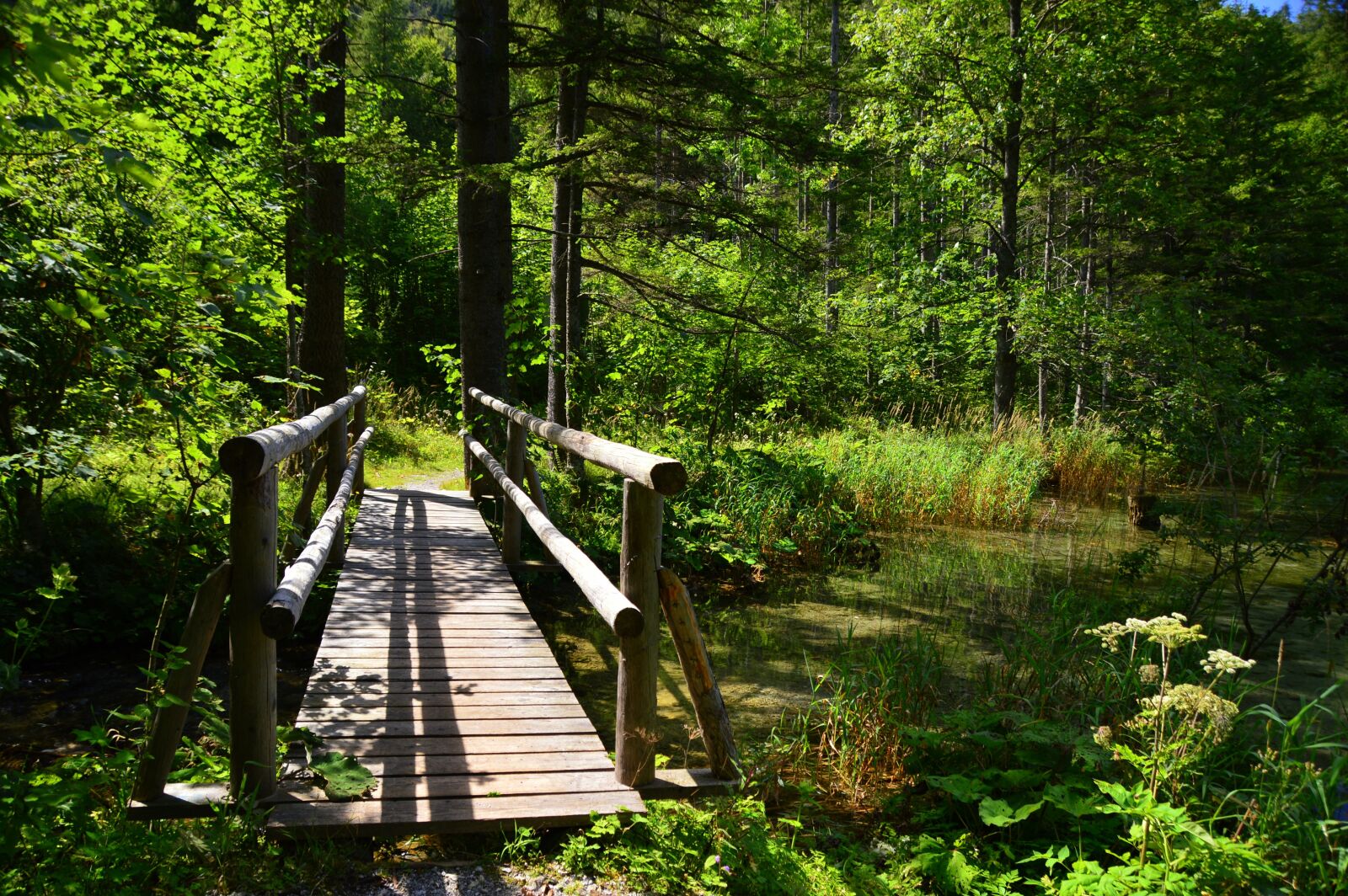 Nikon D3200 sample photo. Lake, bridge, wood photography